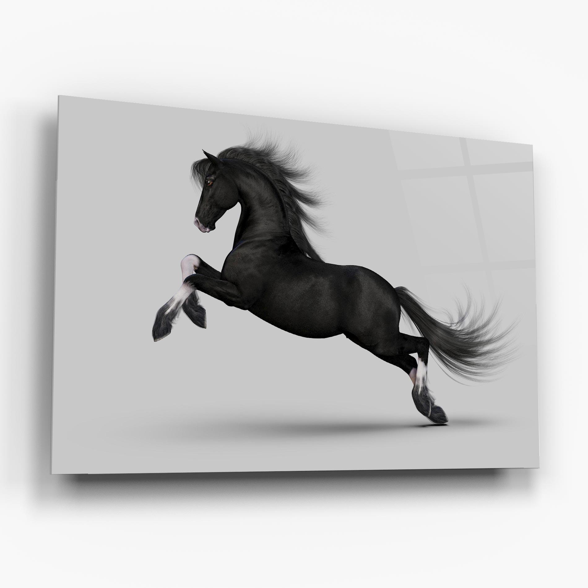 Glasbild Black Horse Galloping mockup 6