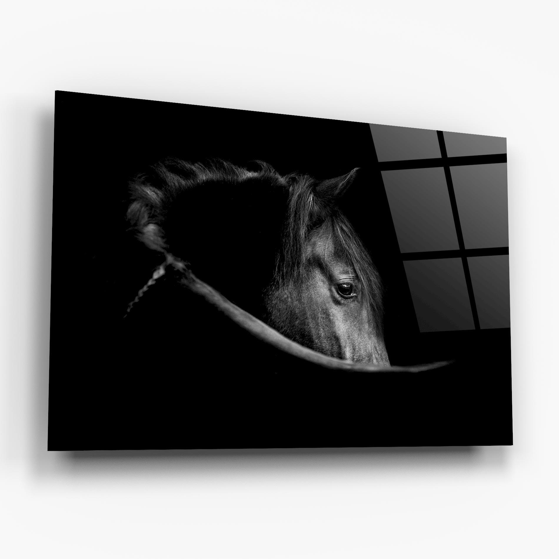 Glasbild Black Horse Looking mockup 6