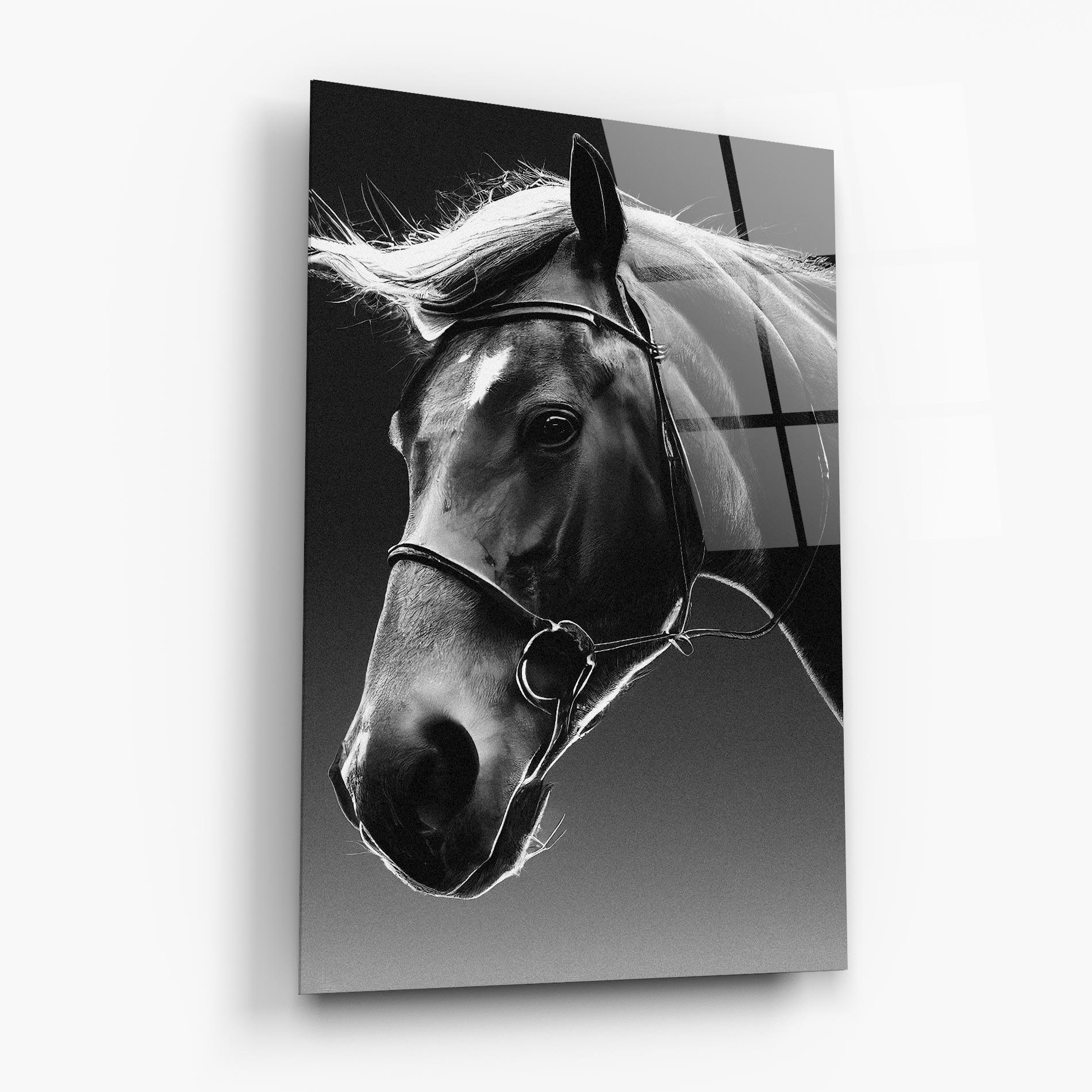 Glasbild Black Horse Profile mockup 6