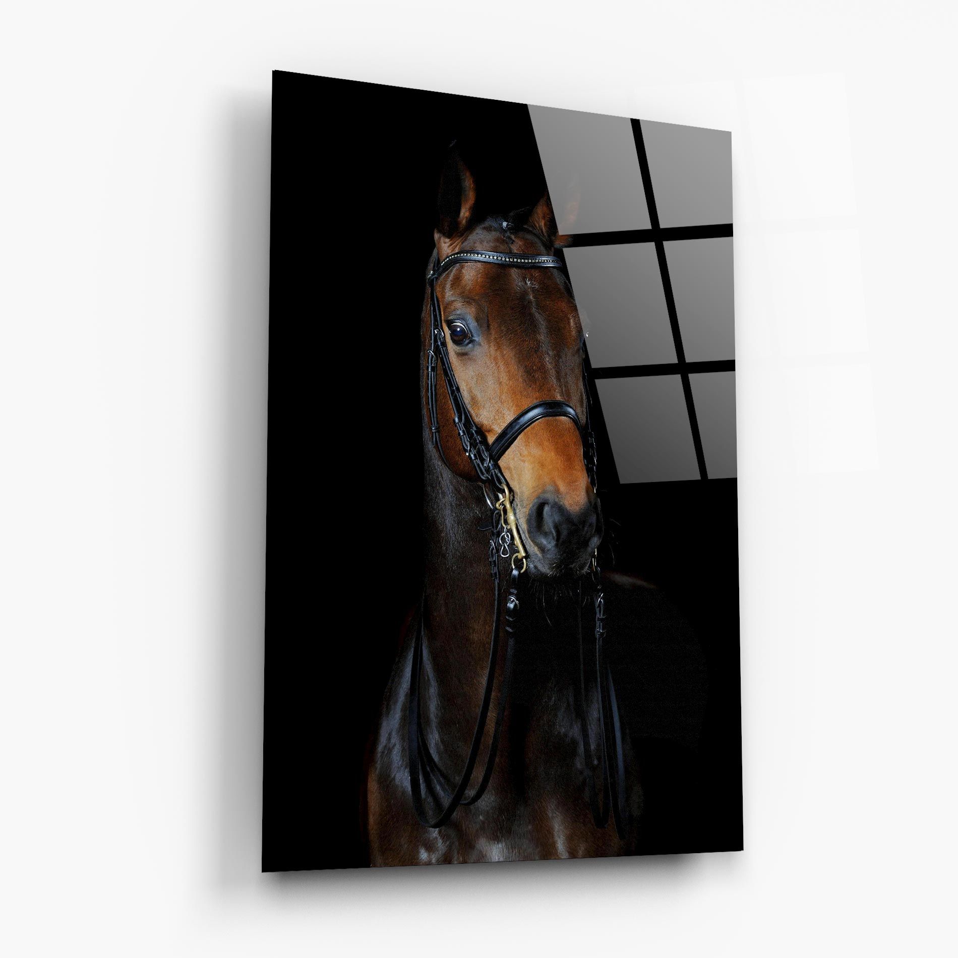 Brown Horse On Black mockup 6