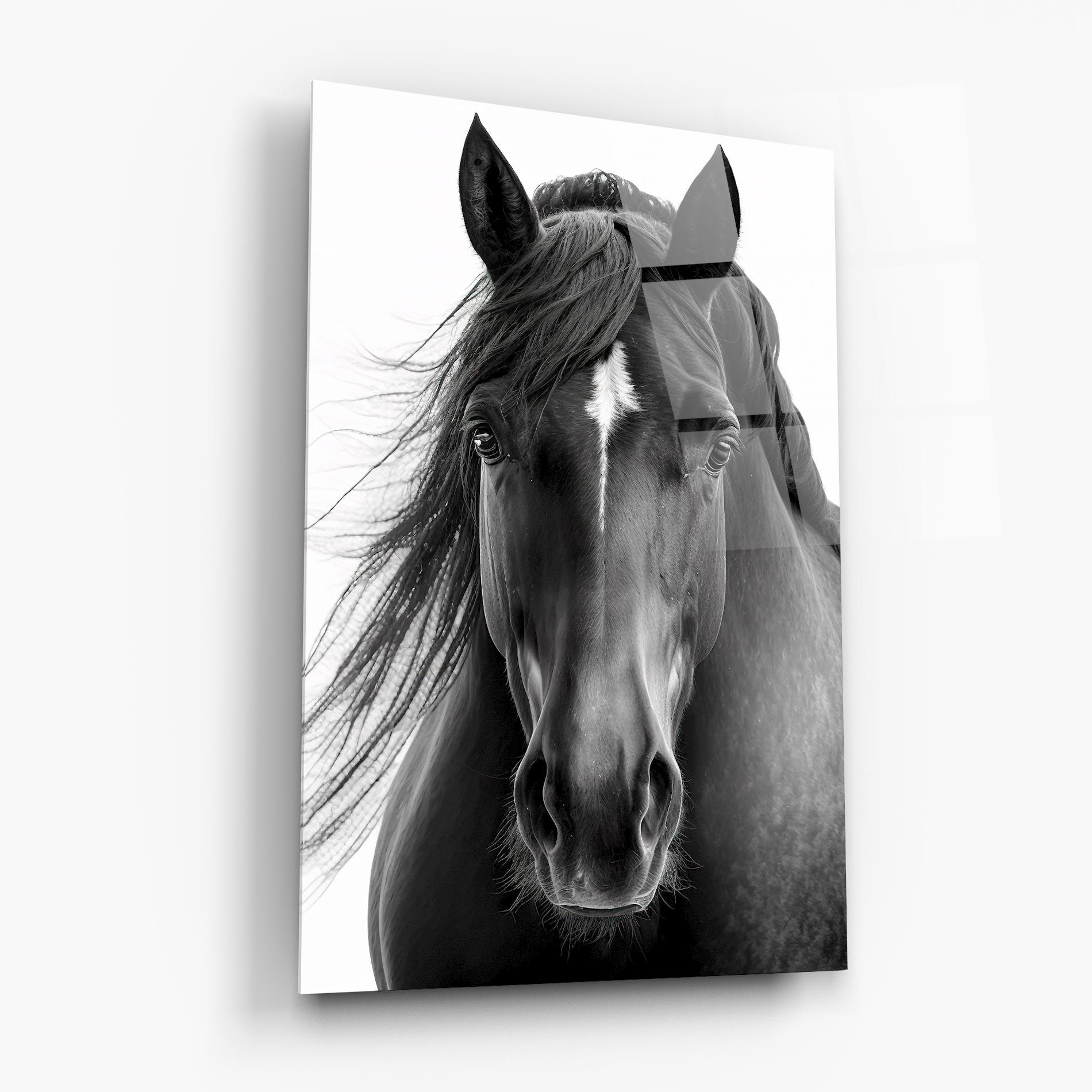Glasbild Close Up Horse mockup 6