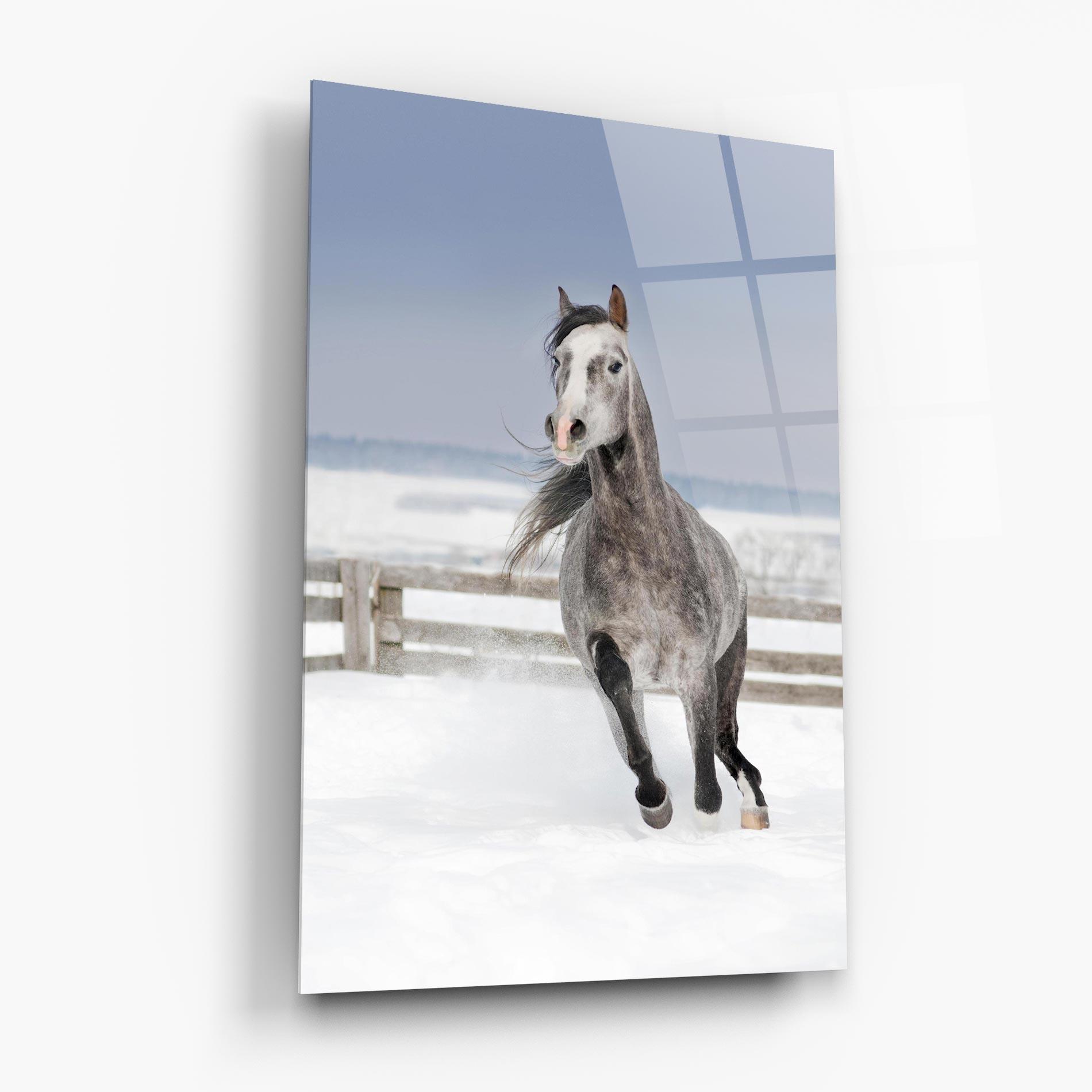 Glasbild Horse Running Free mockup 6