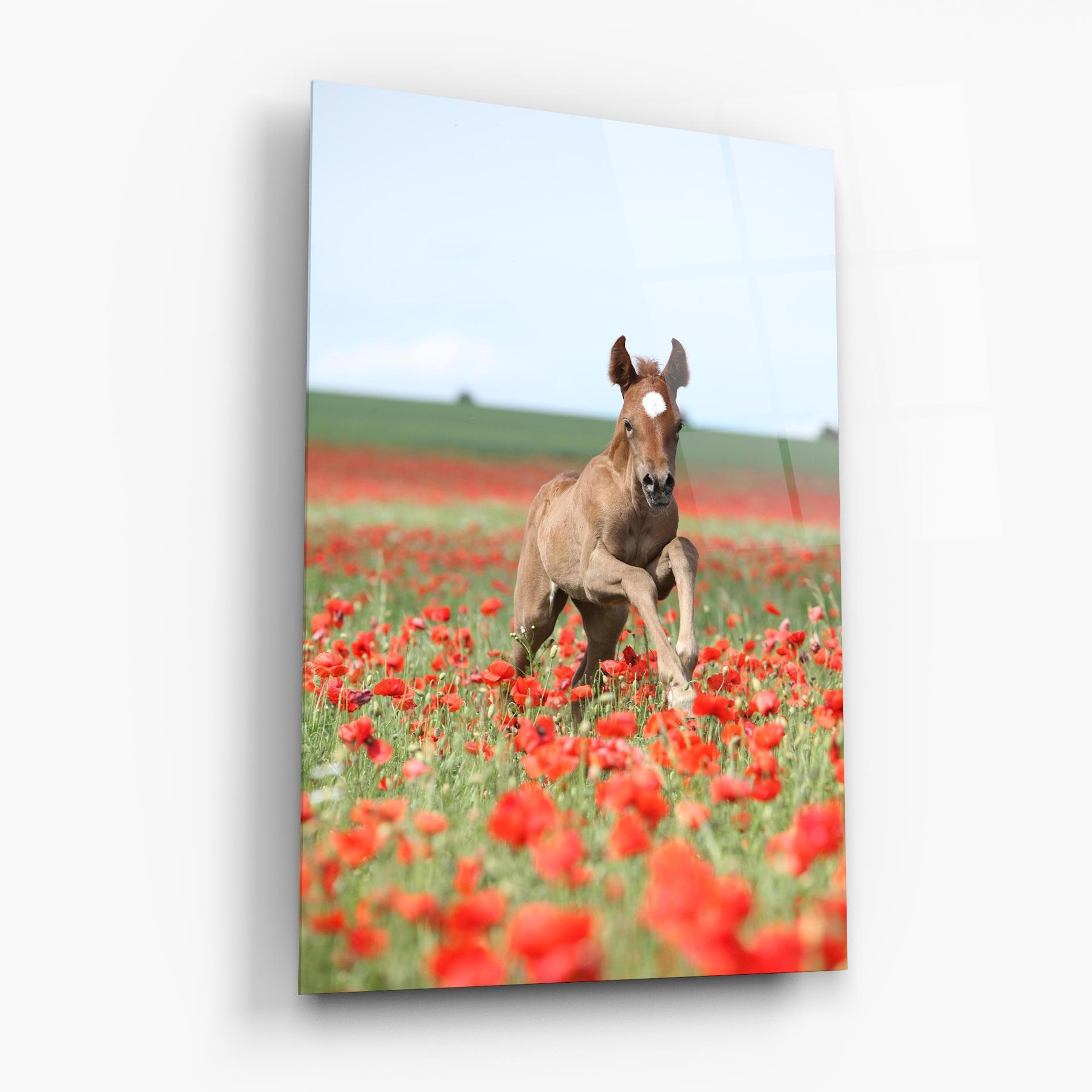 Glasbild Red Flowers Horse mockup 6
