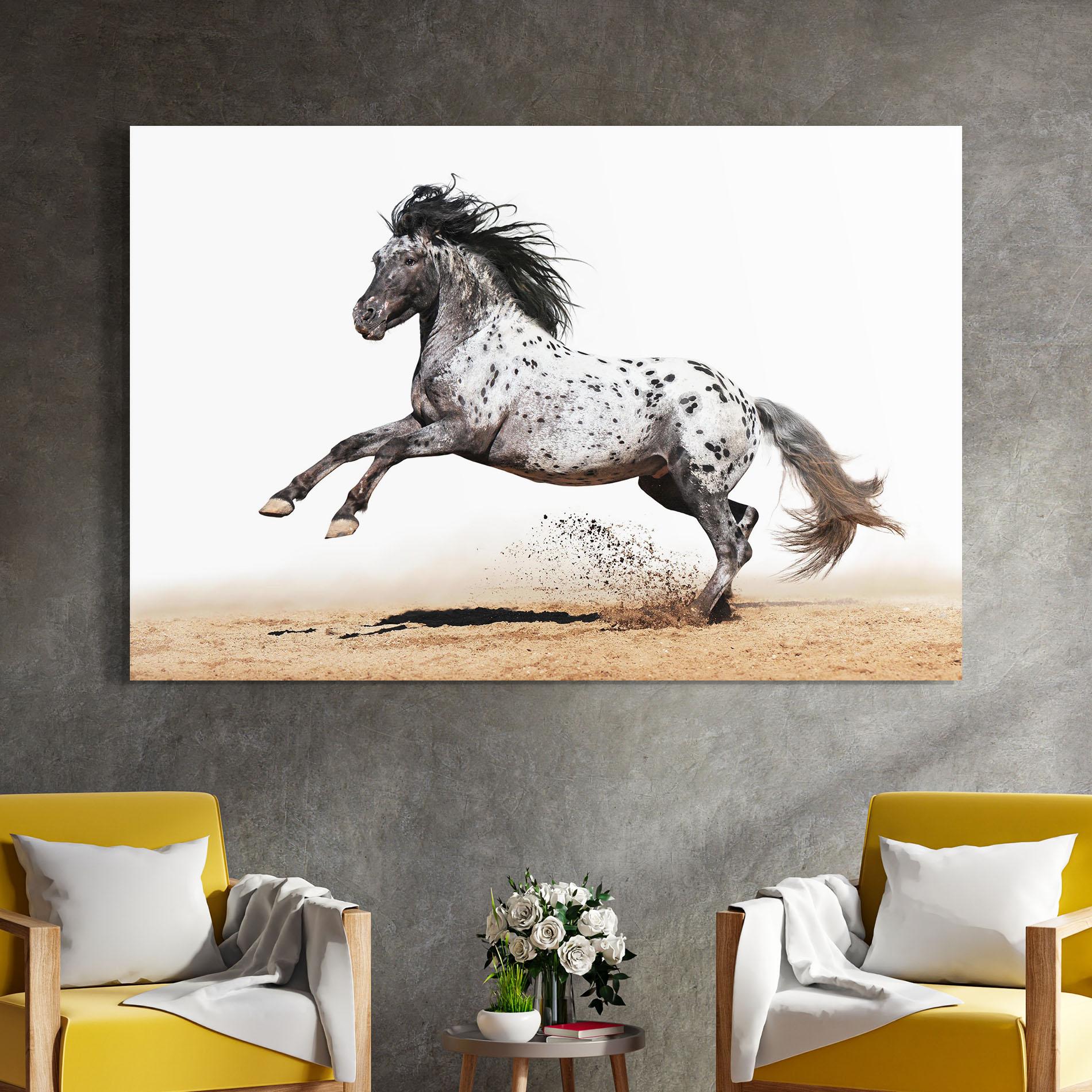 Glasbild Appaloosa Horse Running mockup 4
