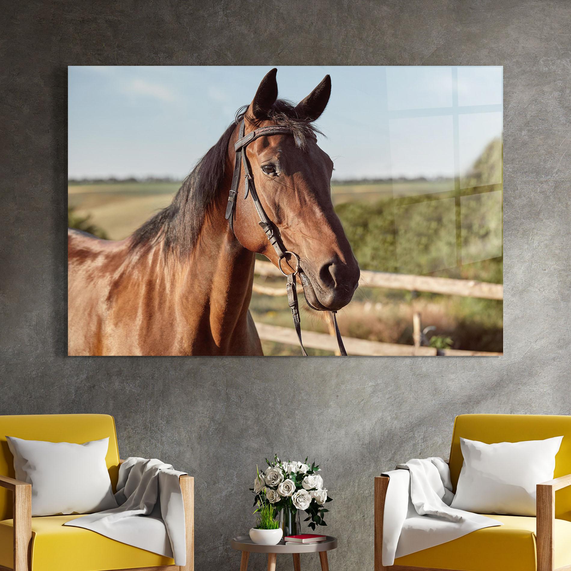 Glasbild Brown Horse Close Up mockup 4