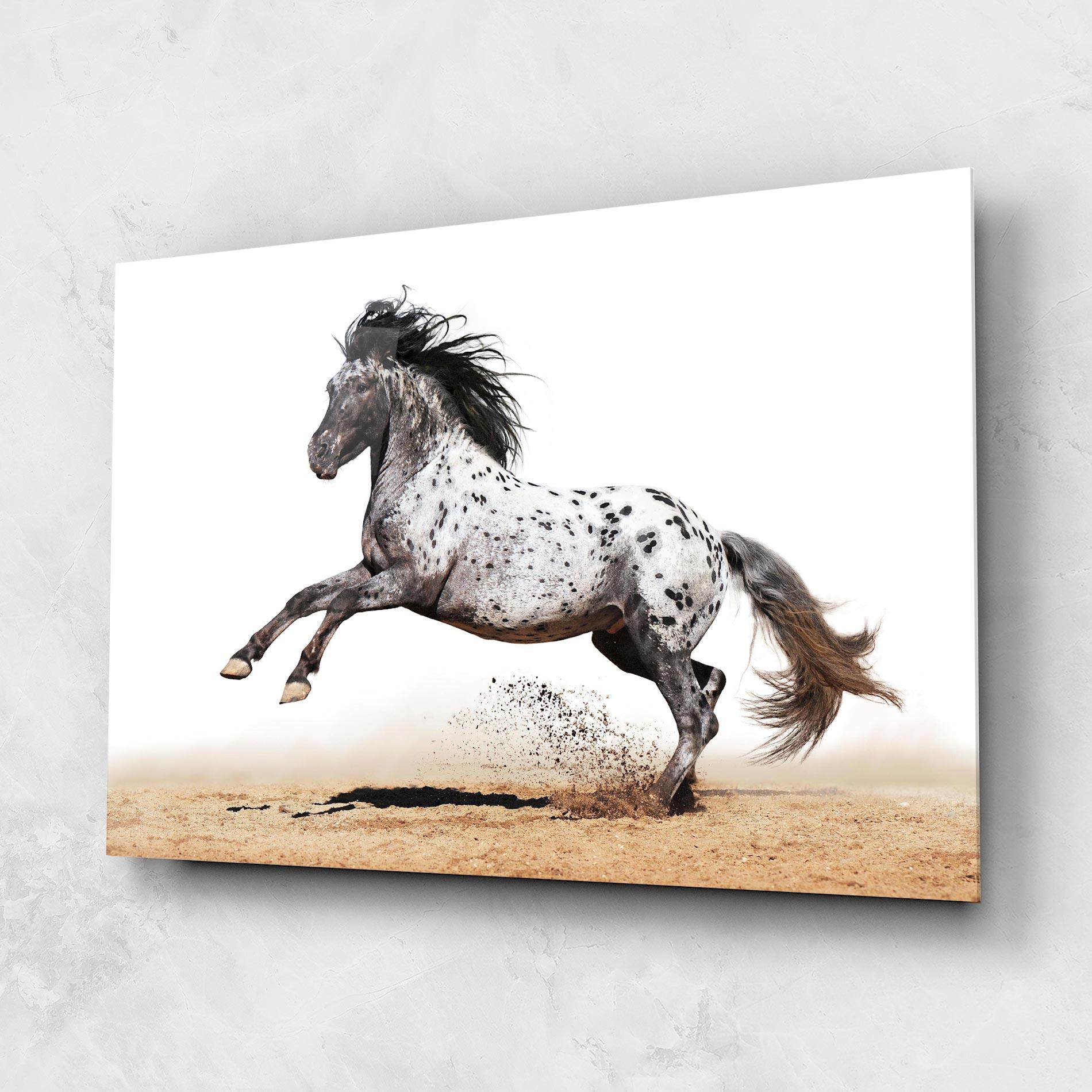 Glasbild Appaloosa Horse Running mockup 1
