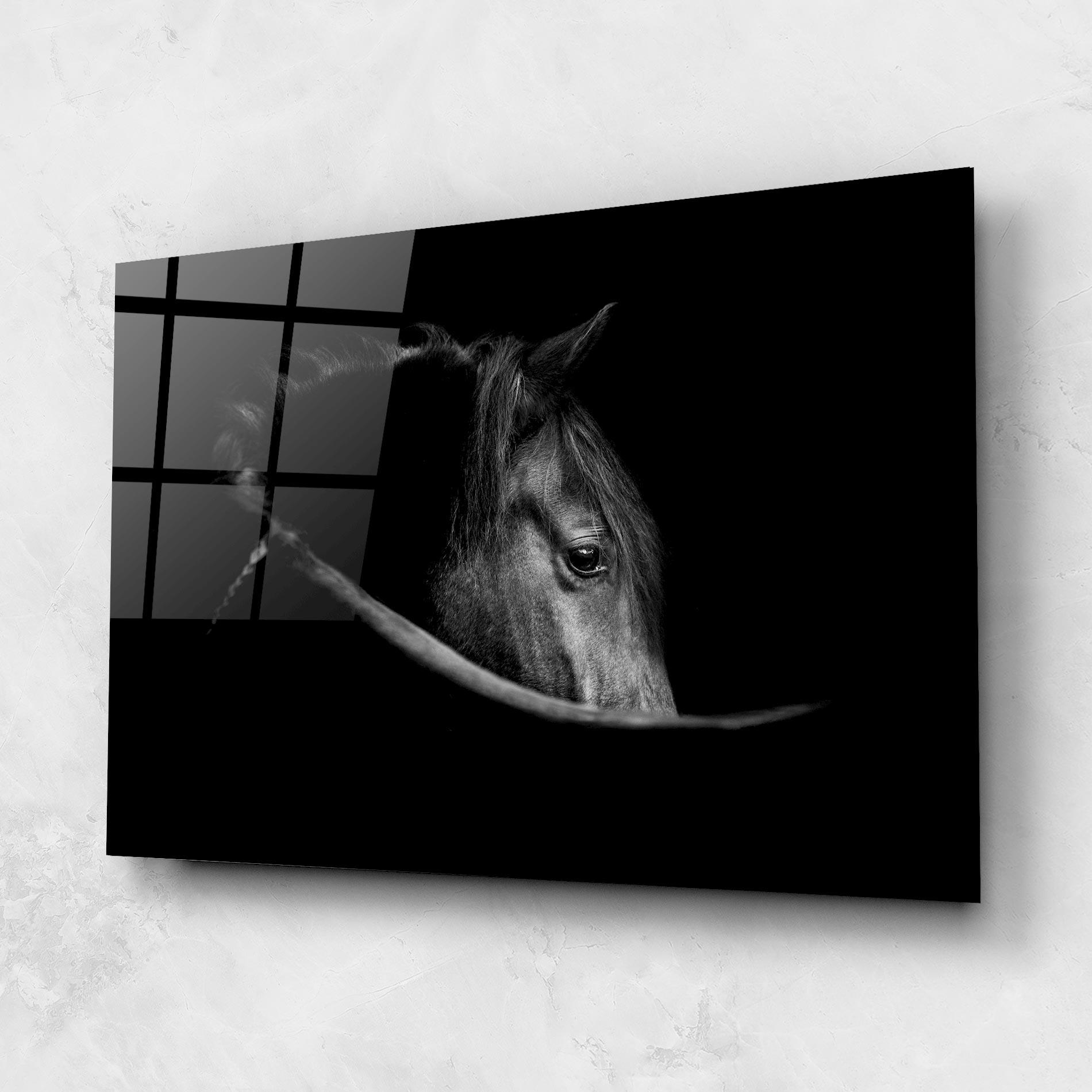 Glasbild Black Horse Looking mockup 1