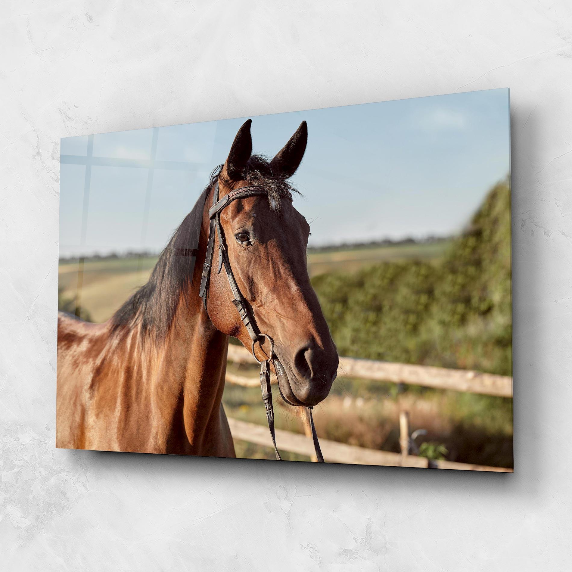 Glasbild Brown Horse Close Up mockup 1