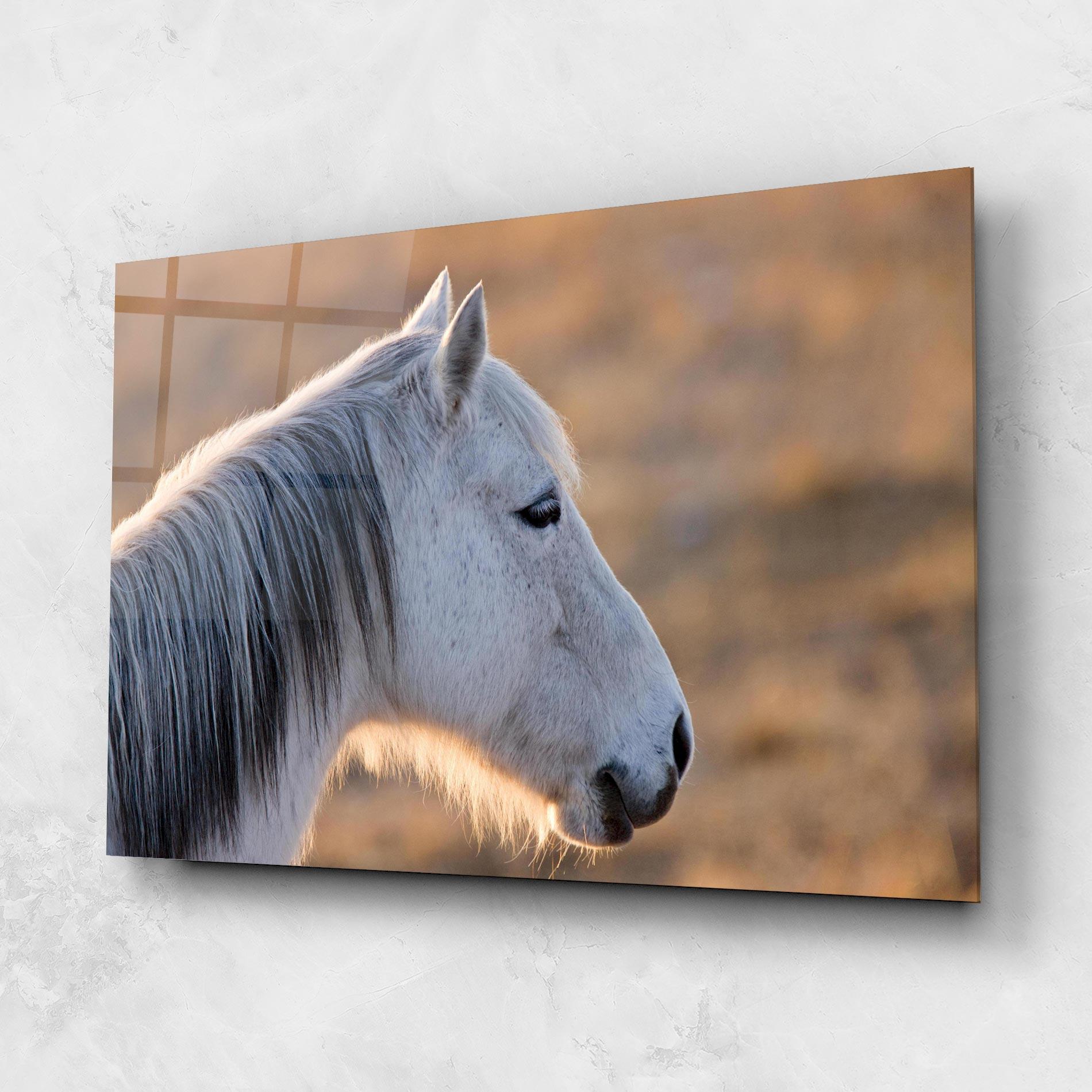 Glasbild Light Gray Horse Looking mockup 1