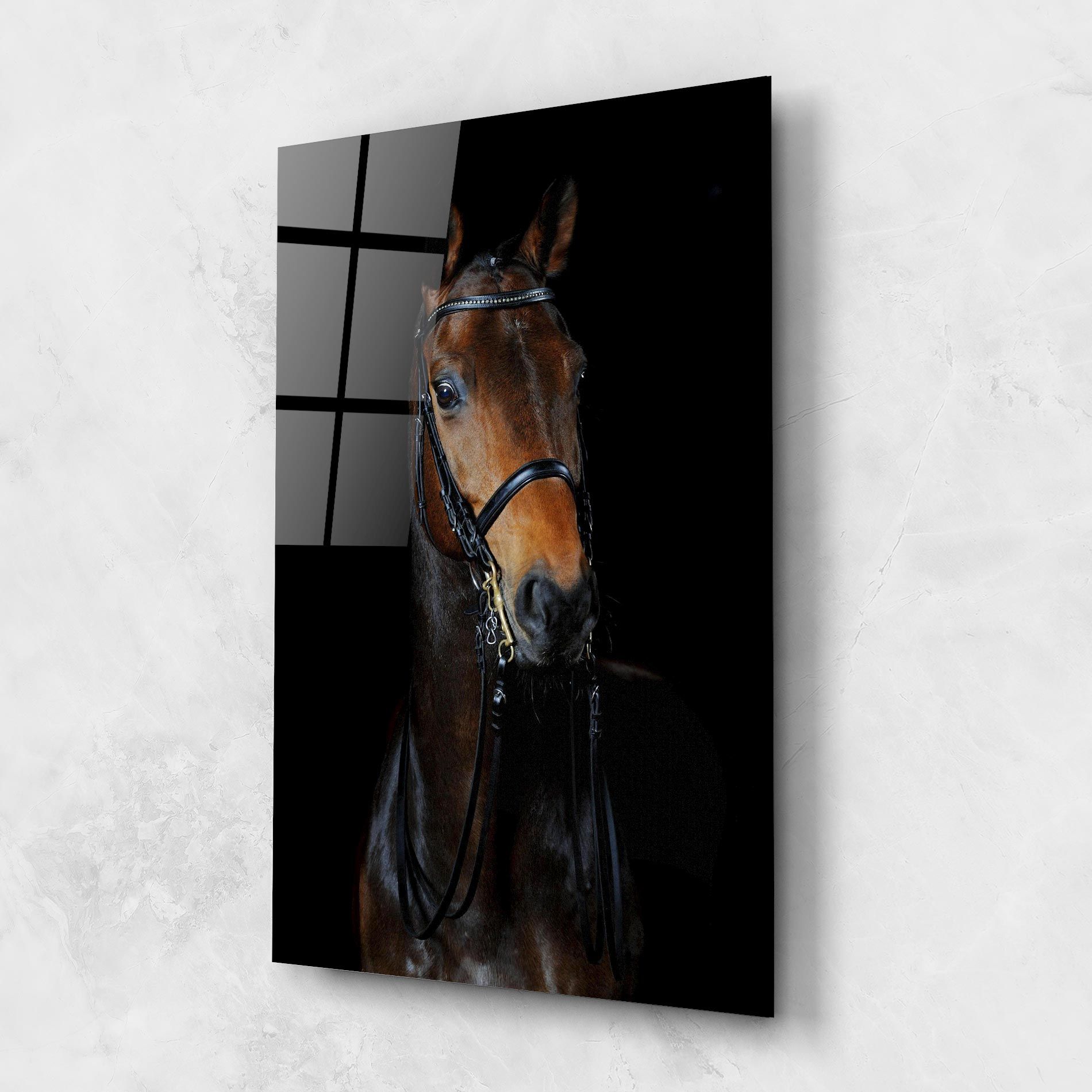 Brown Horse On Black mockup 1
