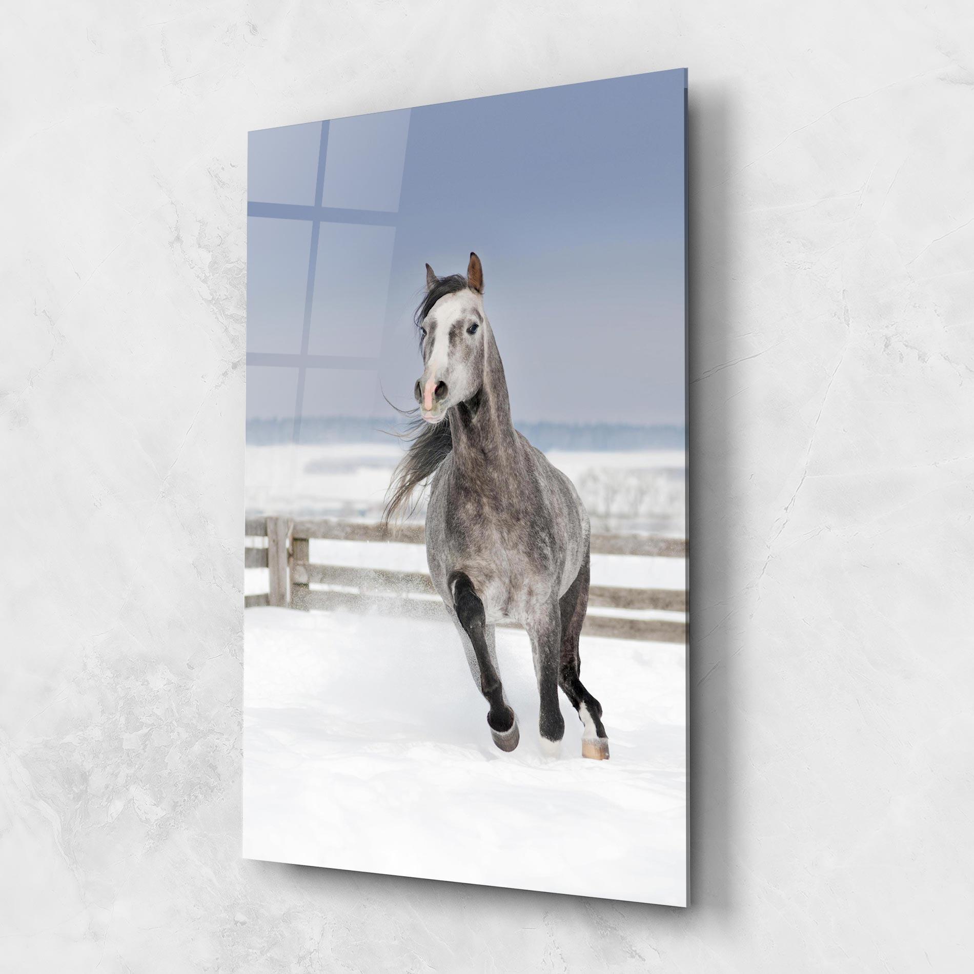 Glasbild Horse Running Free mockup 1