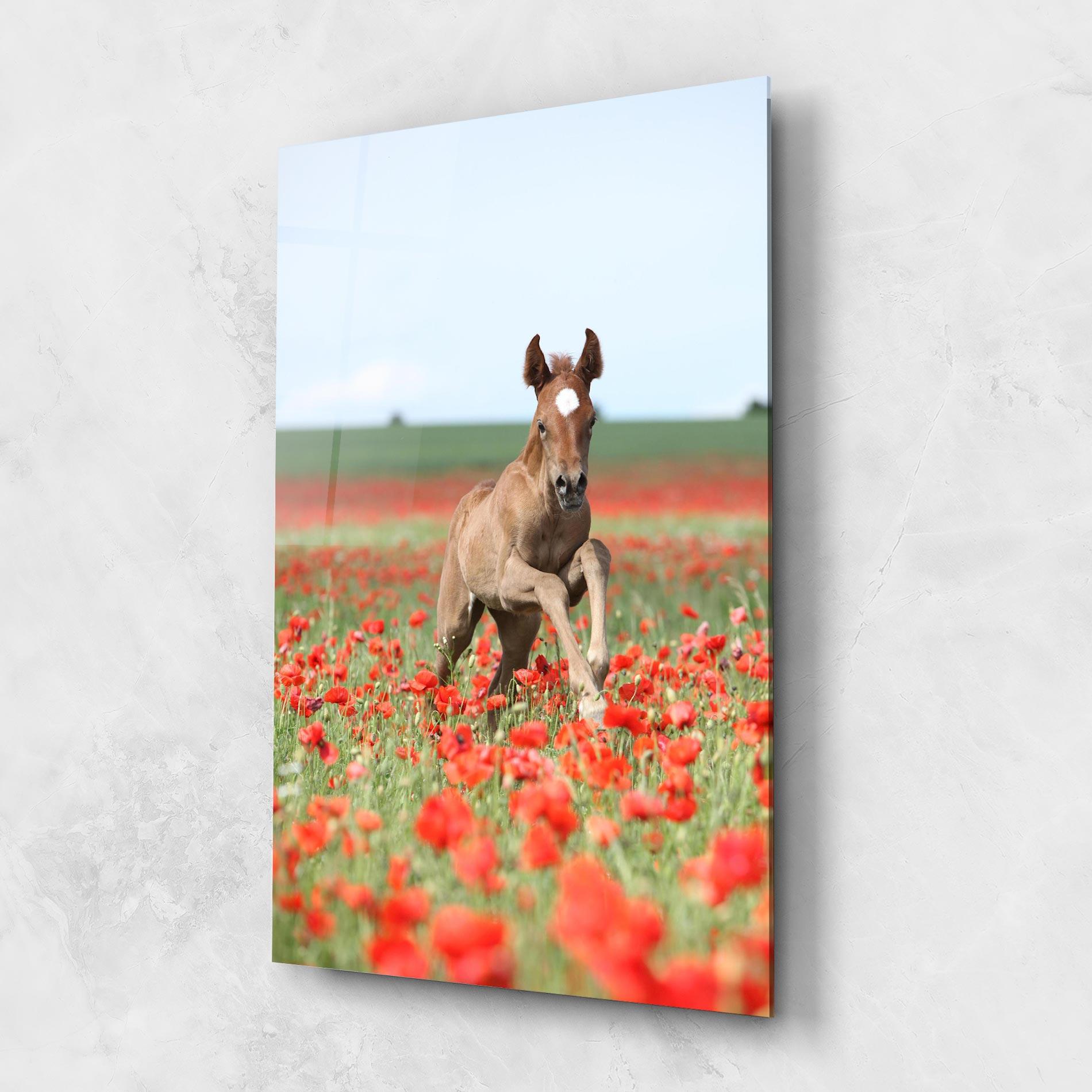 Glasbild Red Flowers Horse mockup 1