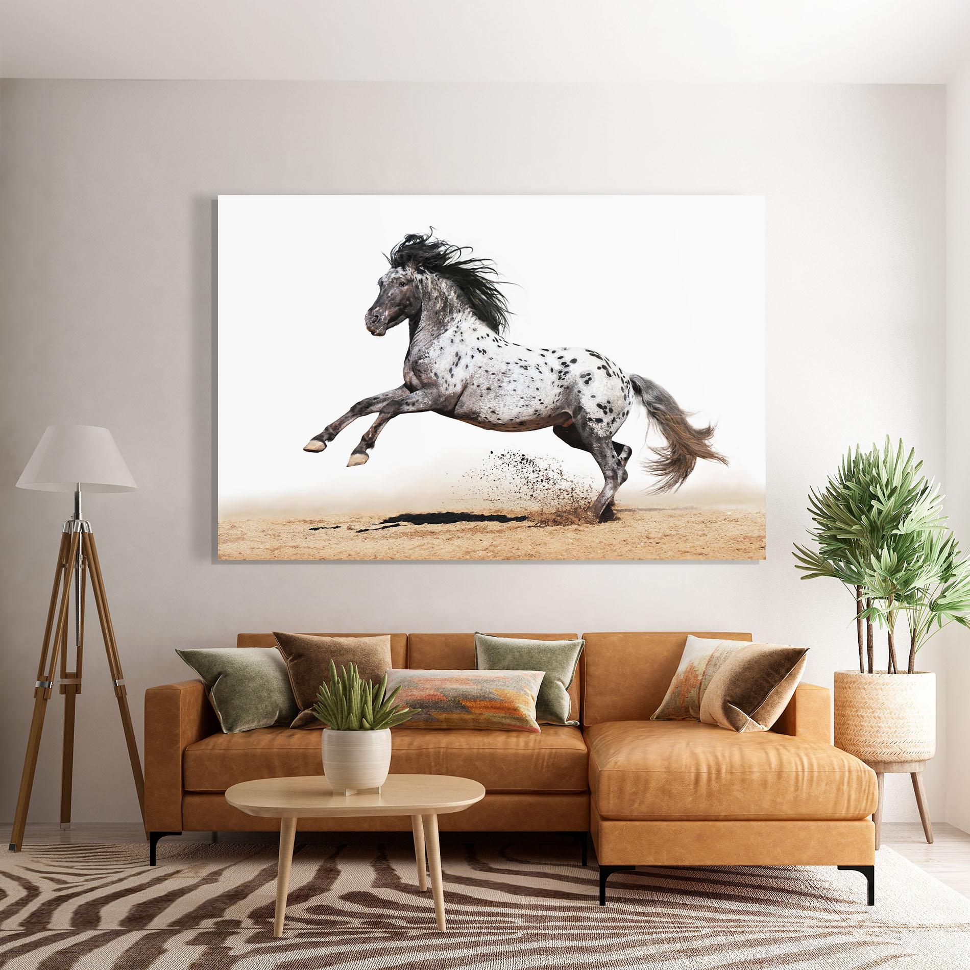 Glasbild Appaloosa Horse Running mockup 7