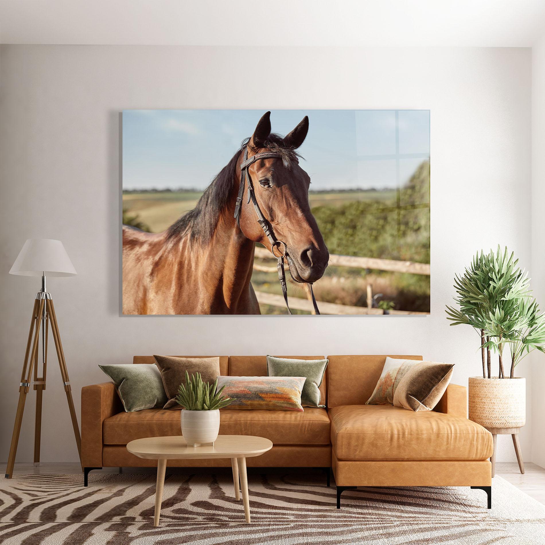 Glasbild Brown Horse Close Up mockup 7