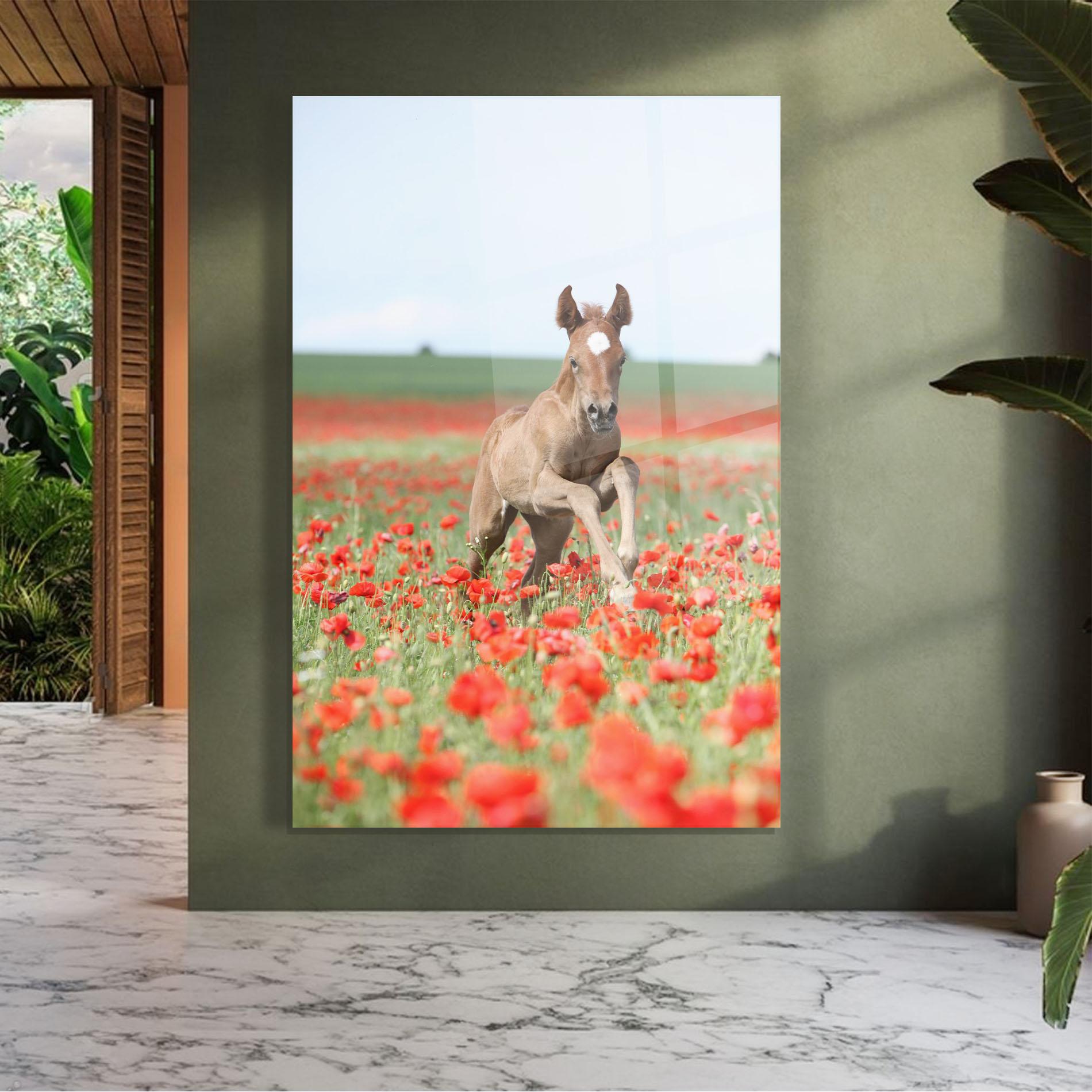 Glasbild Red Flowers Horse mockup 7