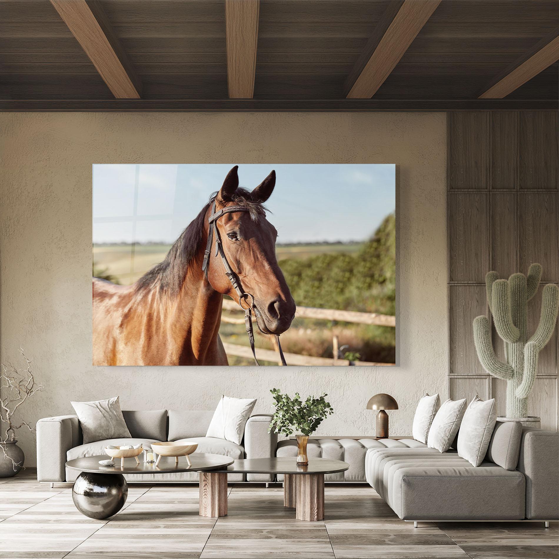 Glasbild Brown Horse Close Up mockup 8