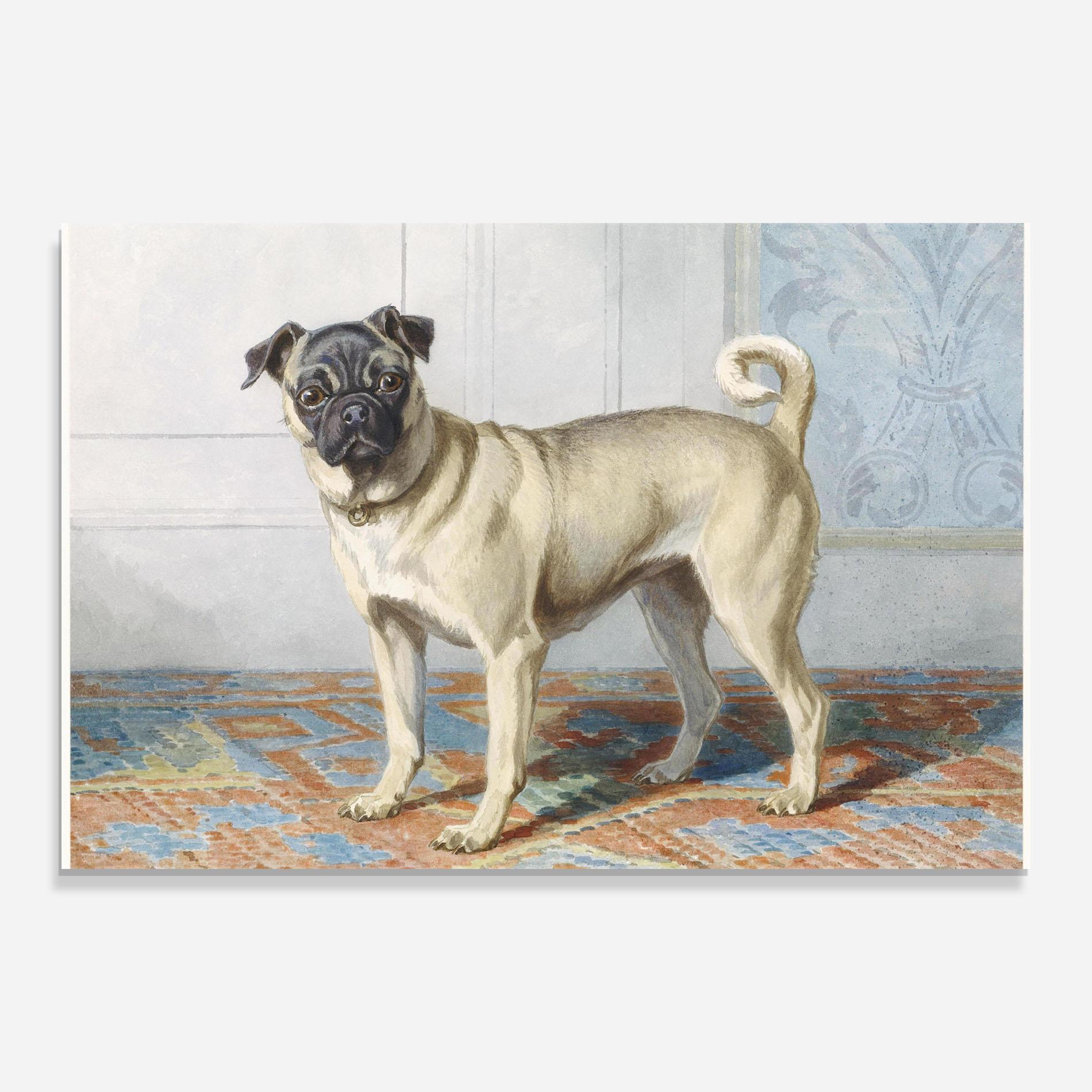 Glasbild Cute Cream Dog mockup 0