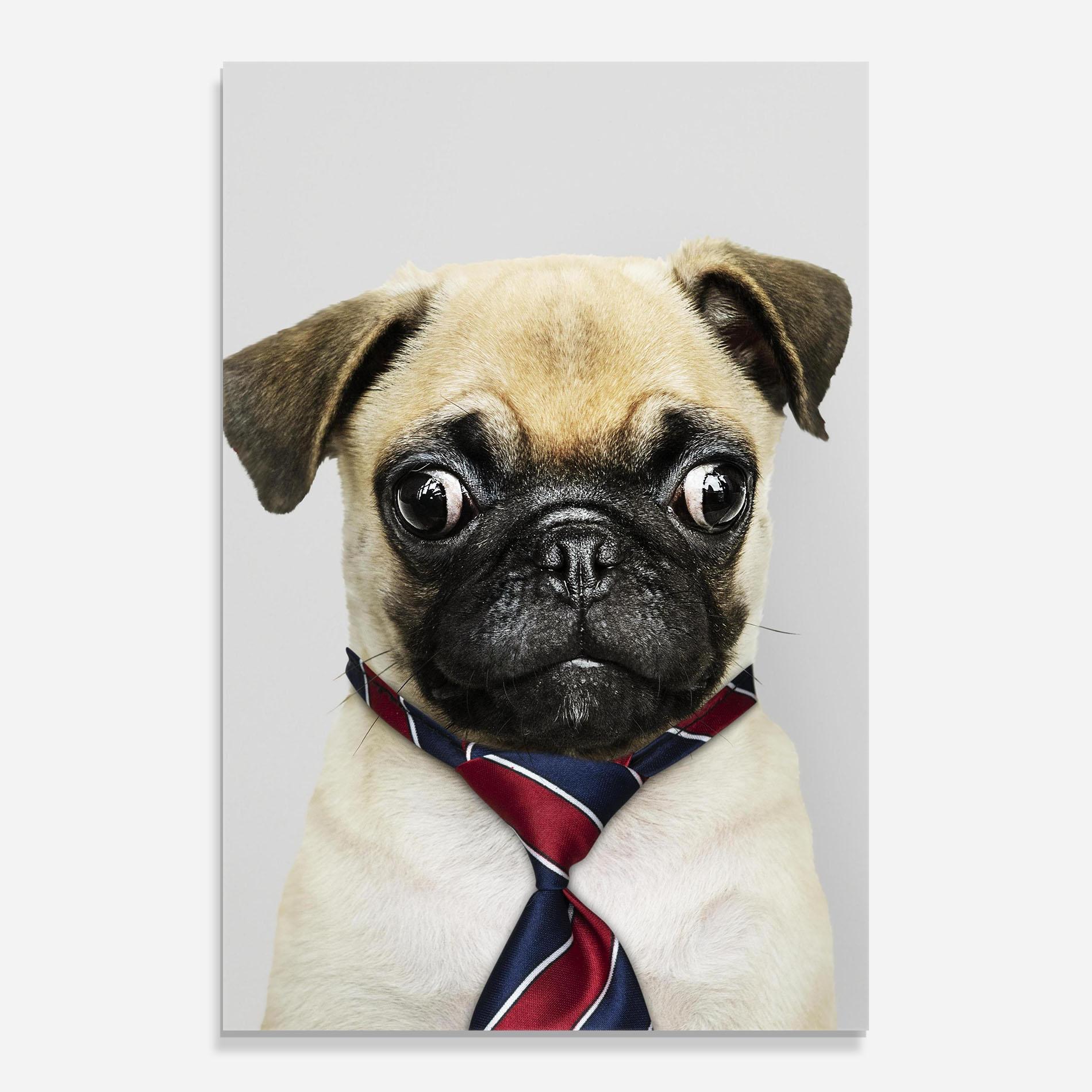 Glasbild Business Pug mockup 0