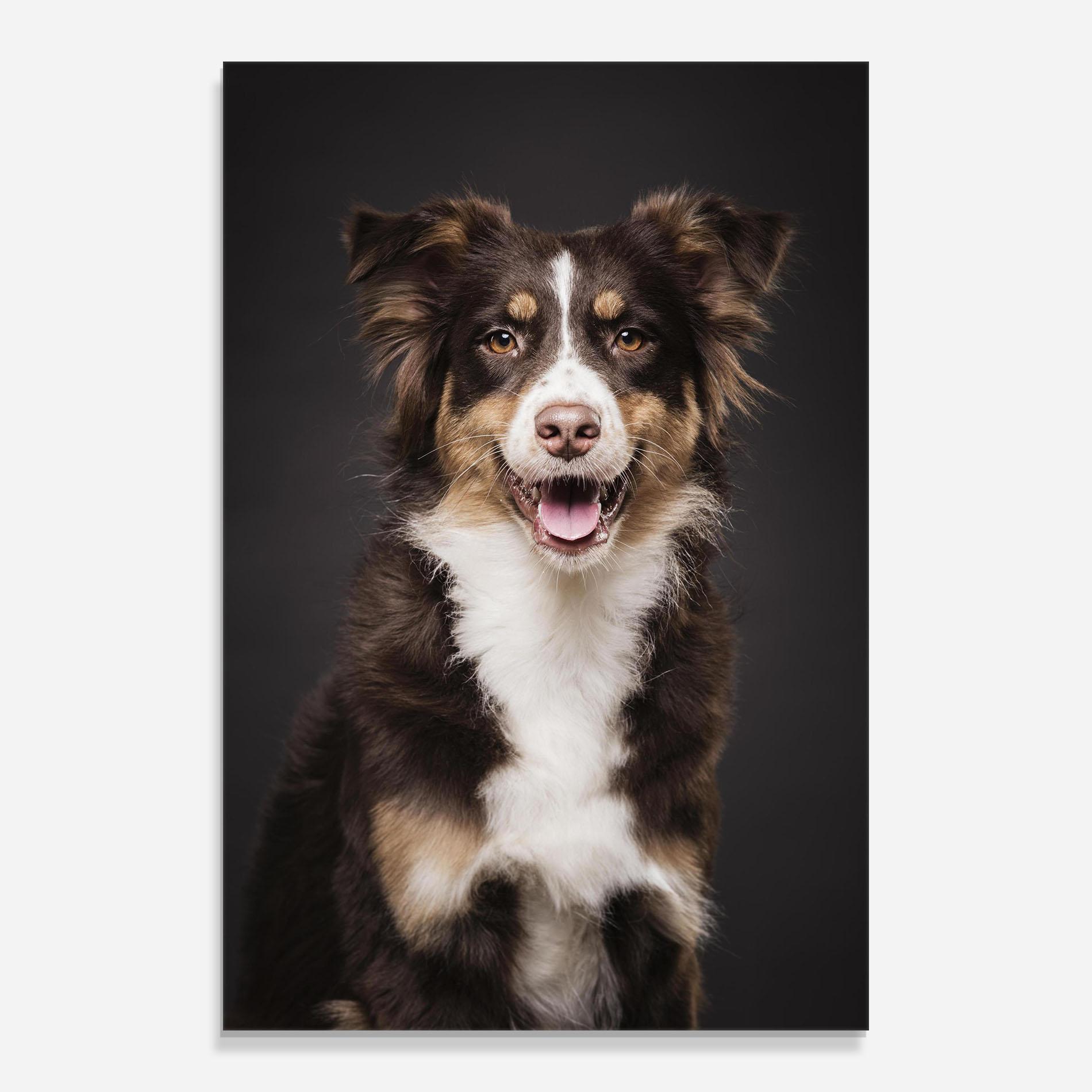 Glasbild Cute Dog Sitting mockup 0