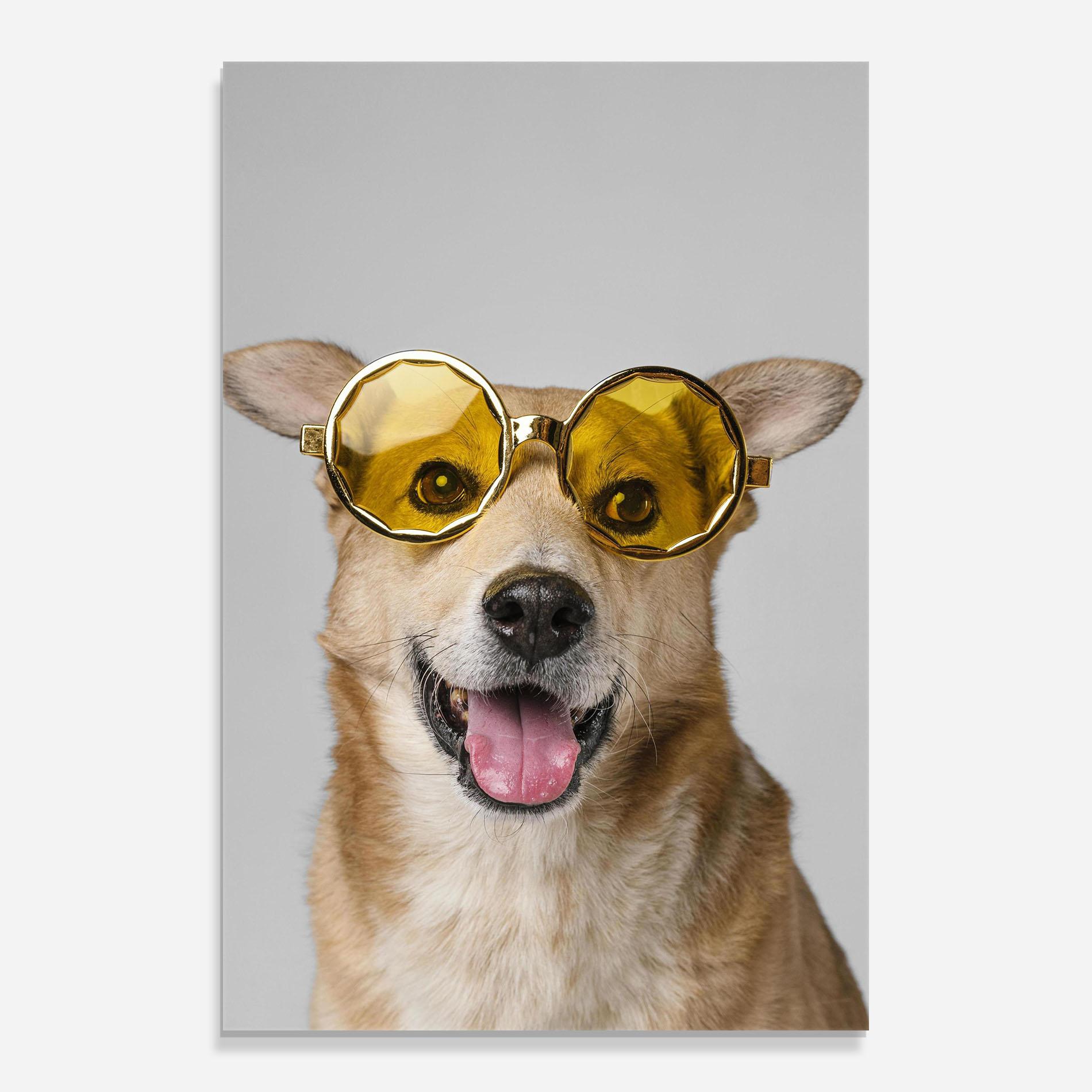 Glasbild Cute Smiley Dog mockup 0