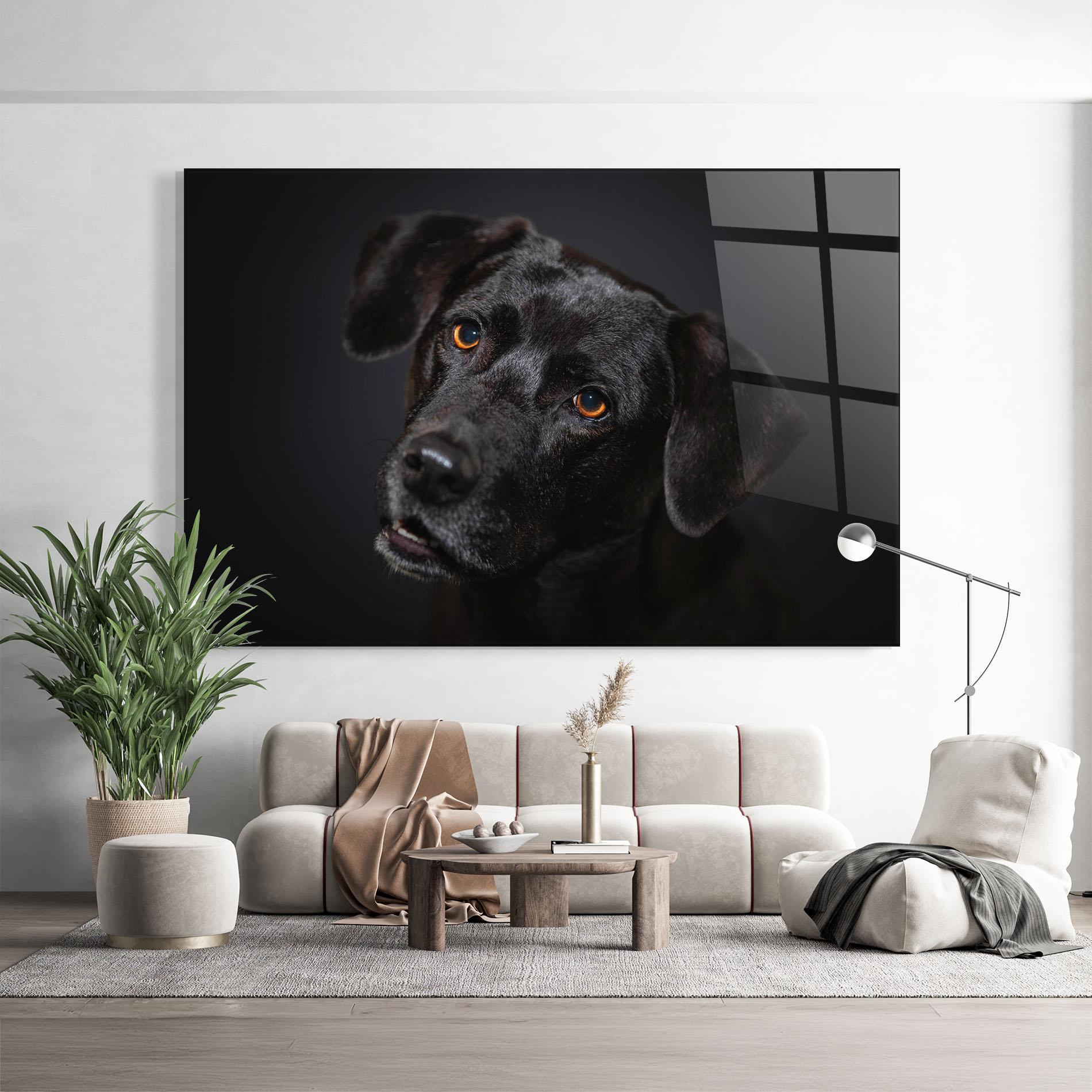 Glasbild Black Dog Portrait mockup 9