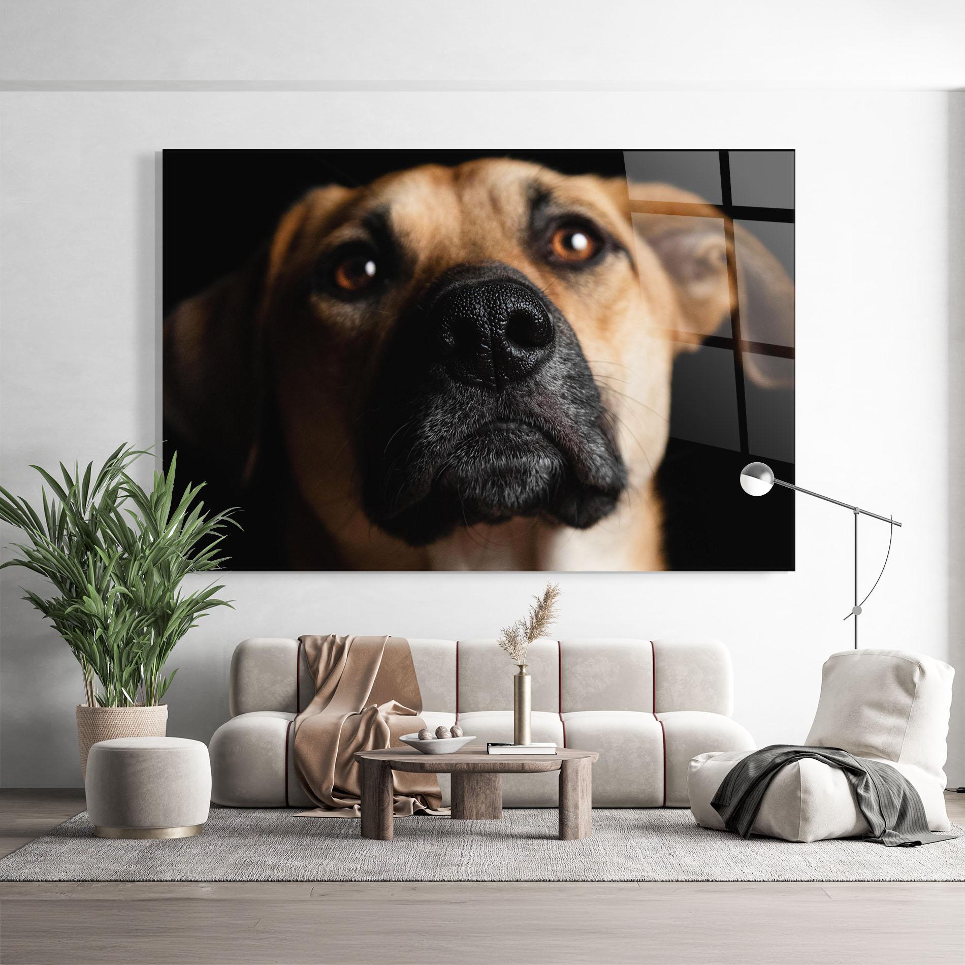 Glasbild Black Nose Dog mockup 9