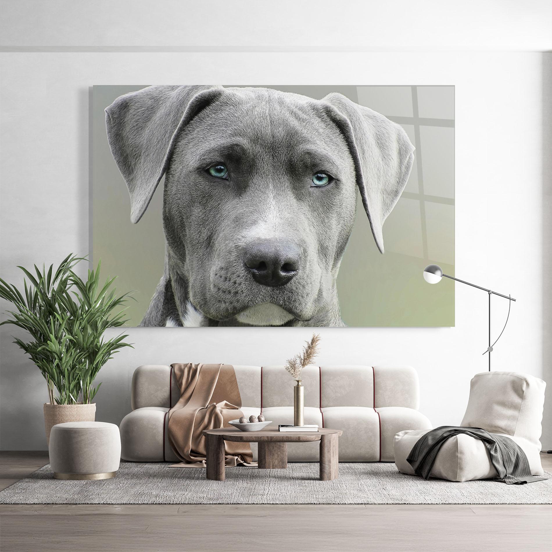 Glasbild Blue Eyes Dog mockup 9