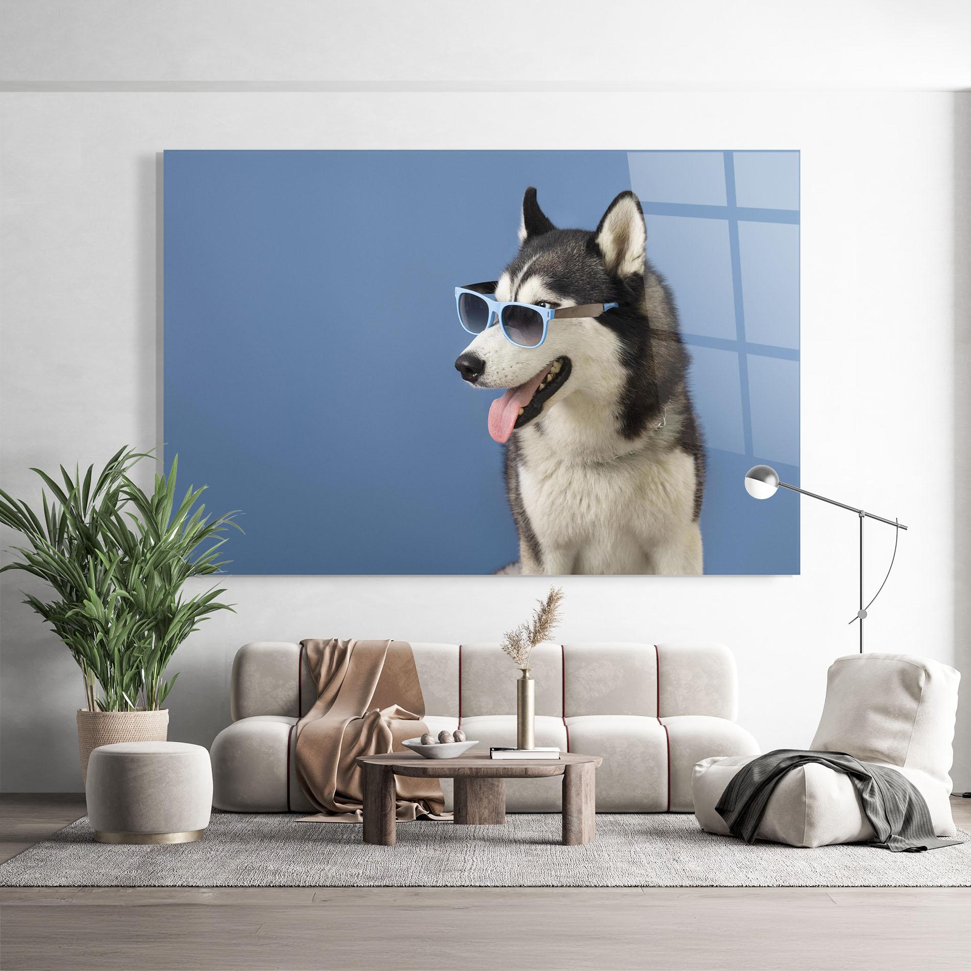 Glasbild Blue Glasses Dog mockup 9