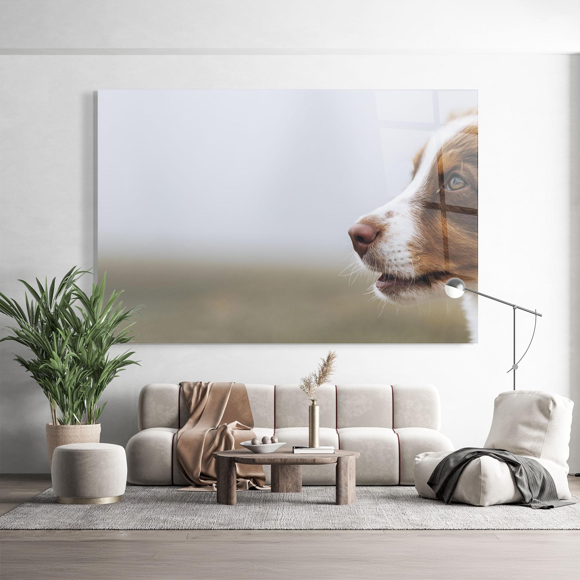 Glasbild Brown White Dog mockup 9