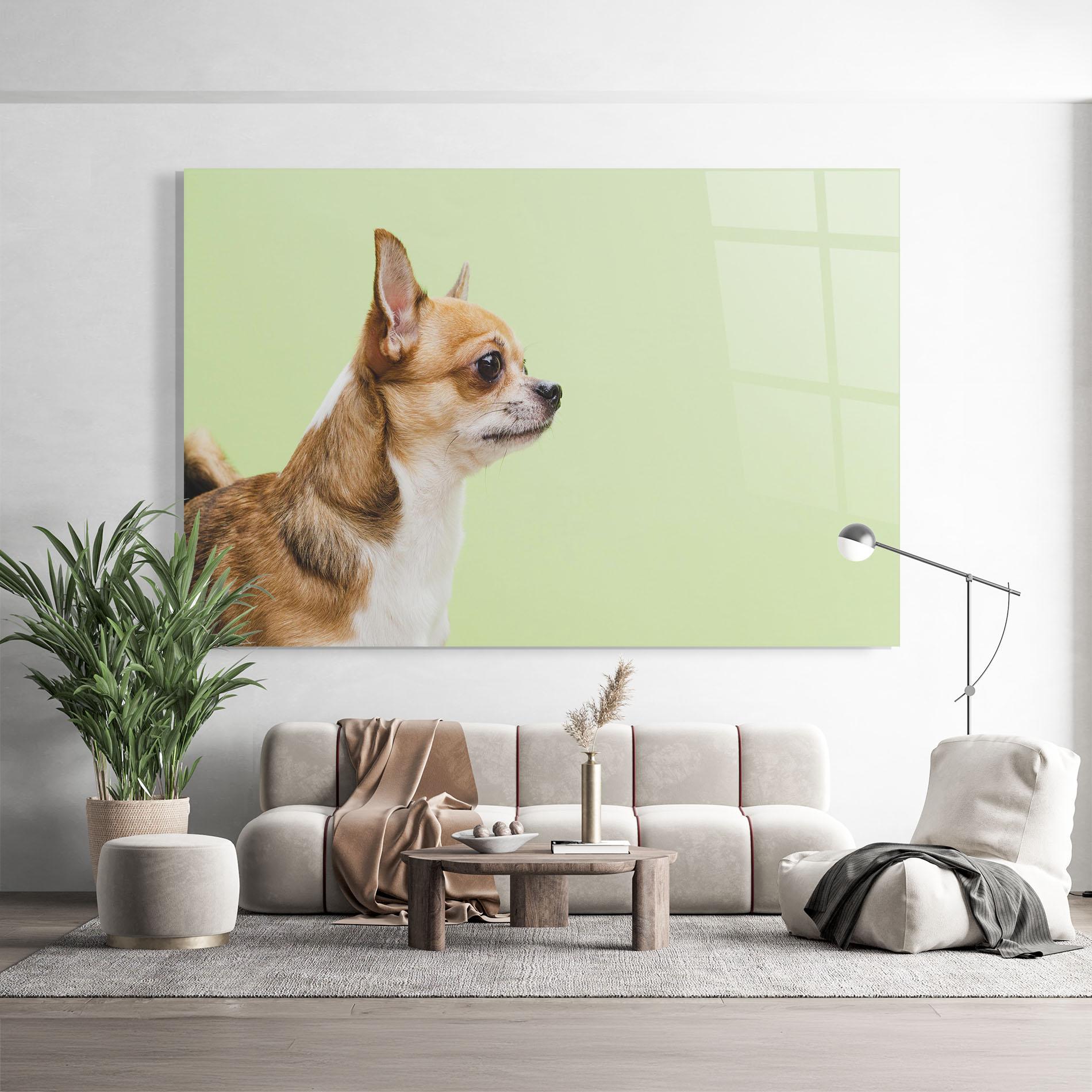 Glasbild Chihuahua Dog mockup 9