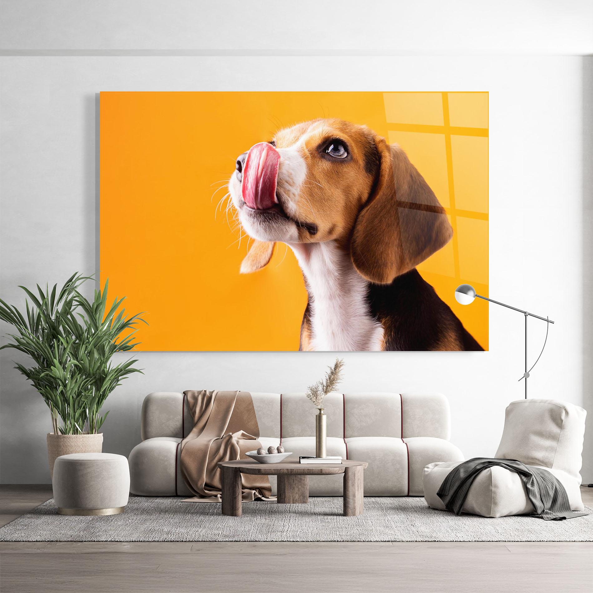 Glasbild Cute Beagle Puppy mockup 9