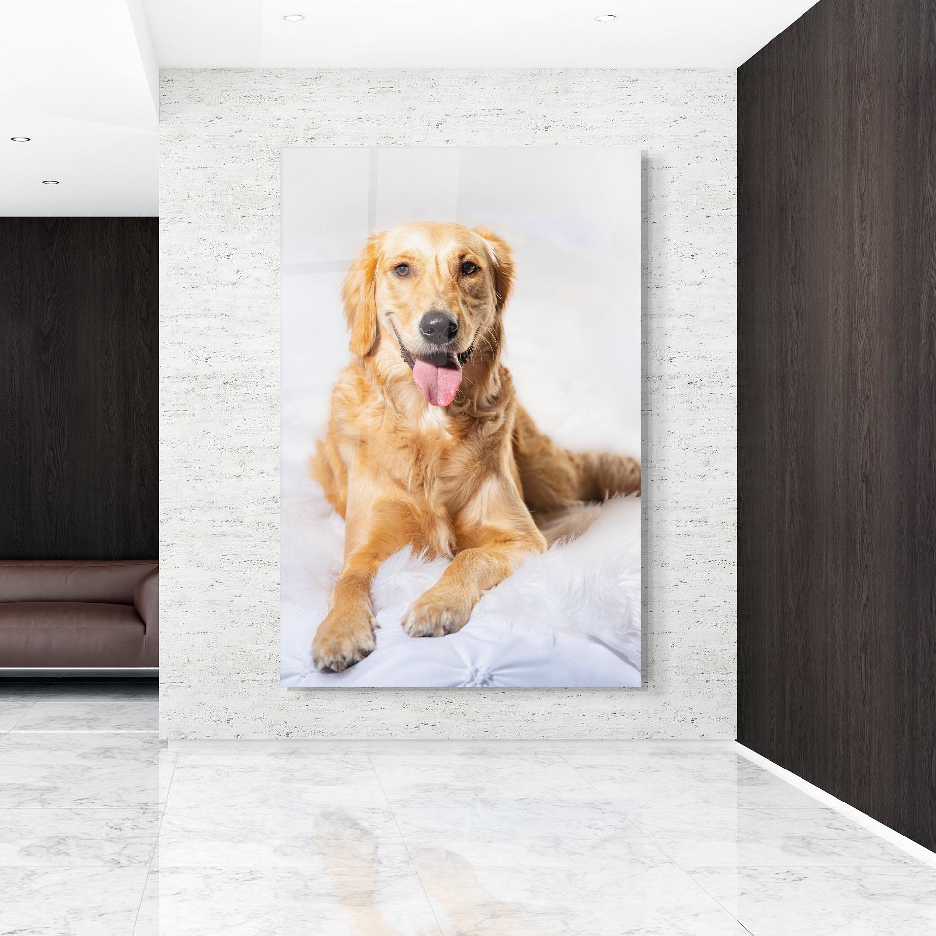 Glasbild Beautiful Gold Dog mockup 9