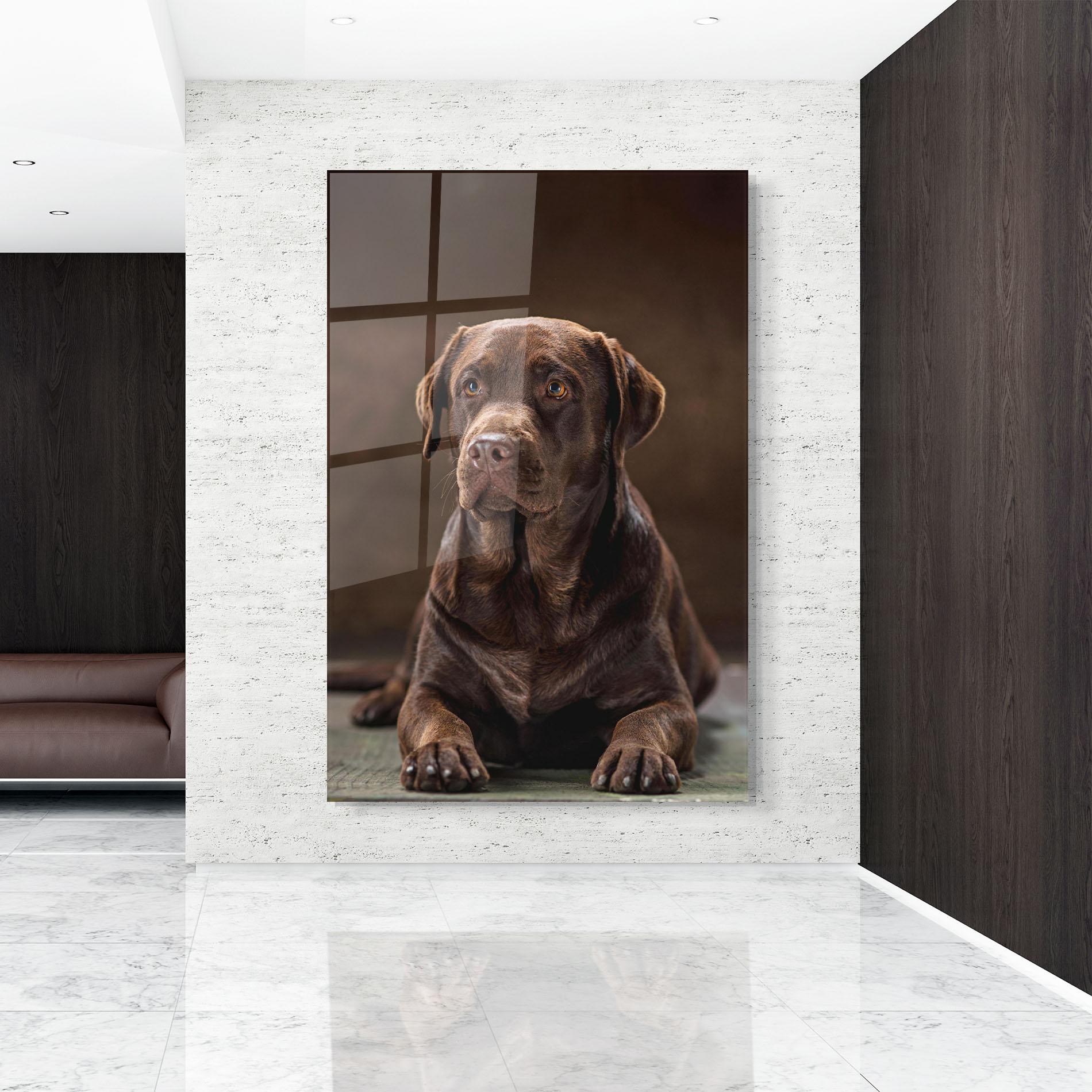 Glasbild Brown Labrador Dog mockup 9