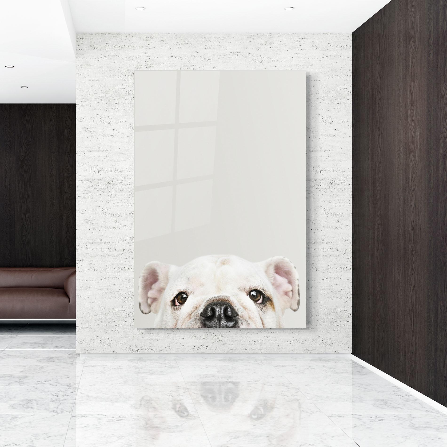 Glasbild Bulldog Eyes mockup 9