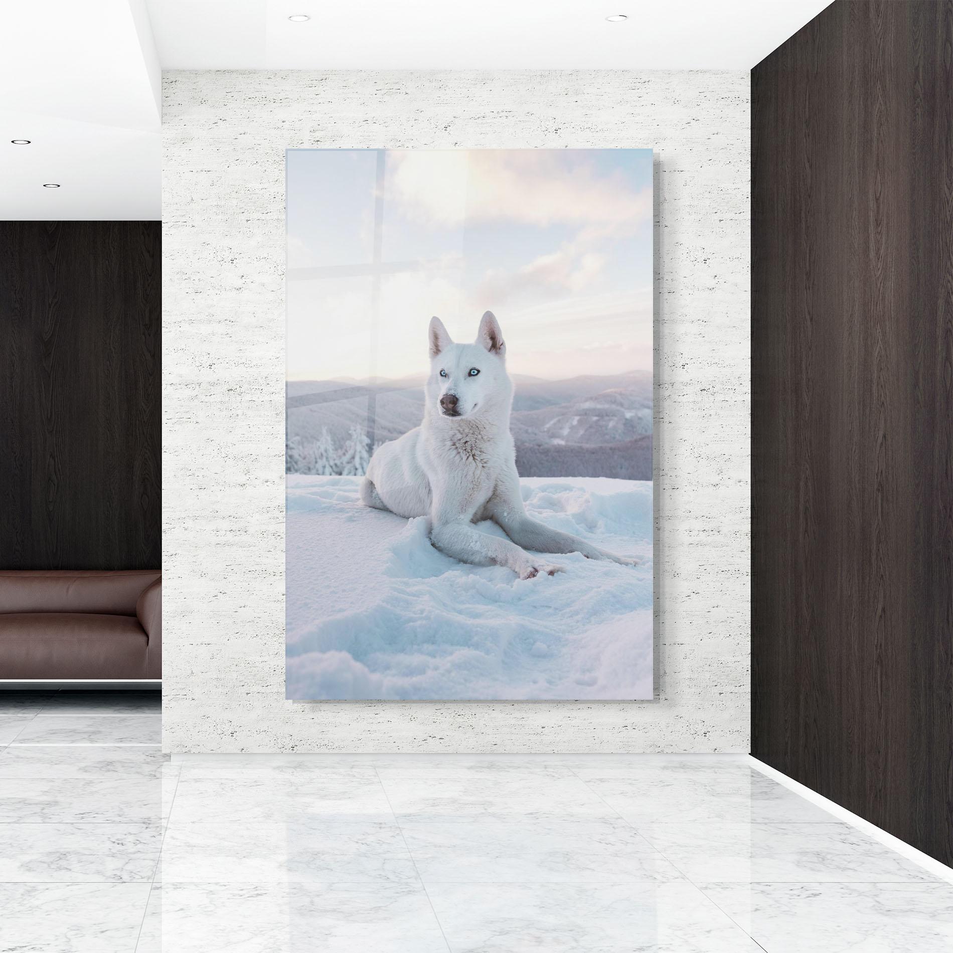 Glasbild White Husky mockup 9