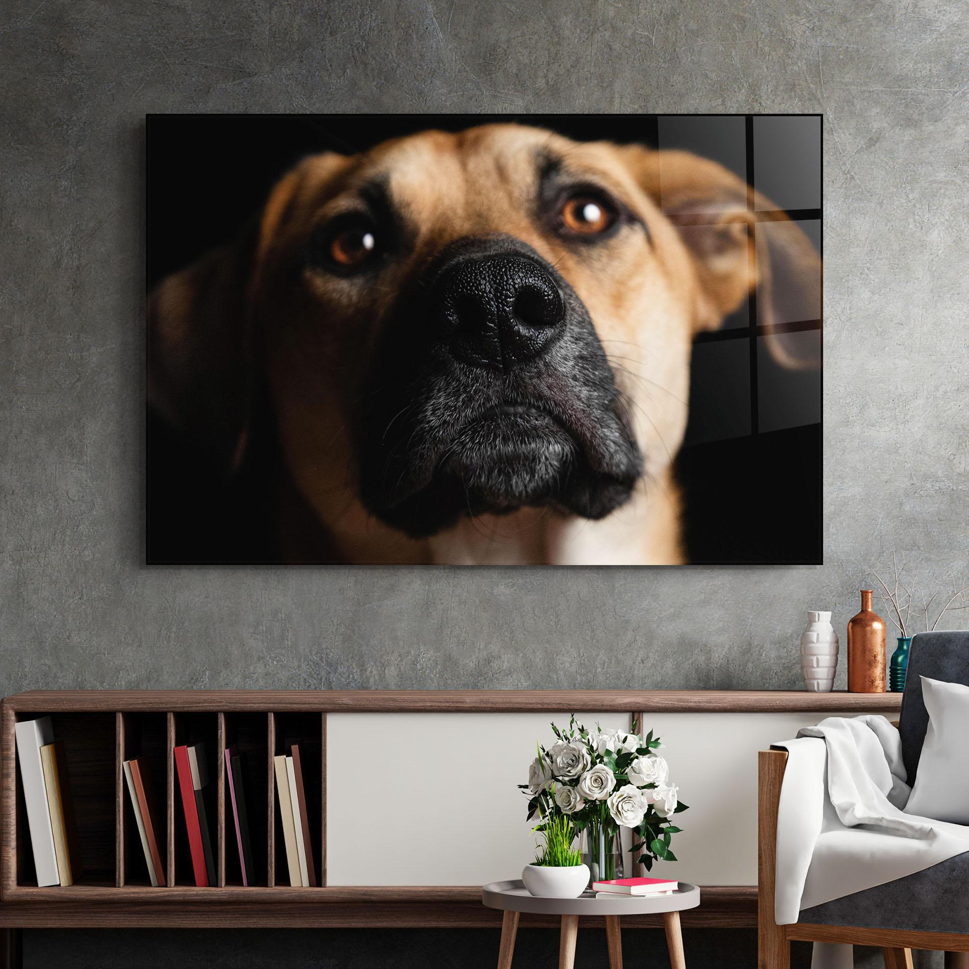 Glasbild Black Nose Dog mockup 2