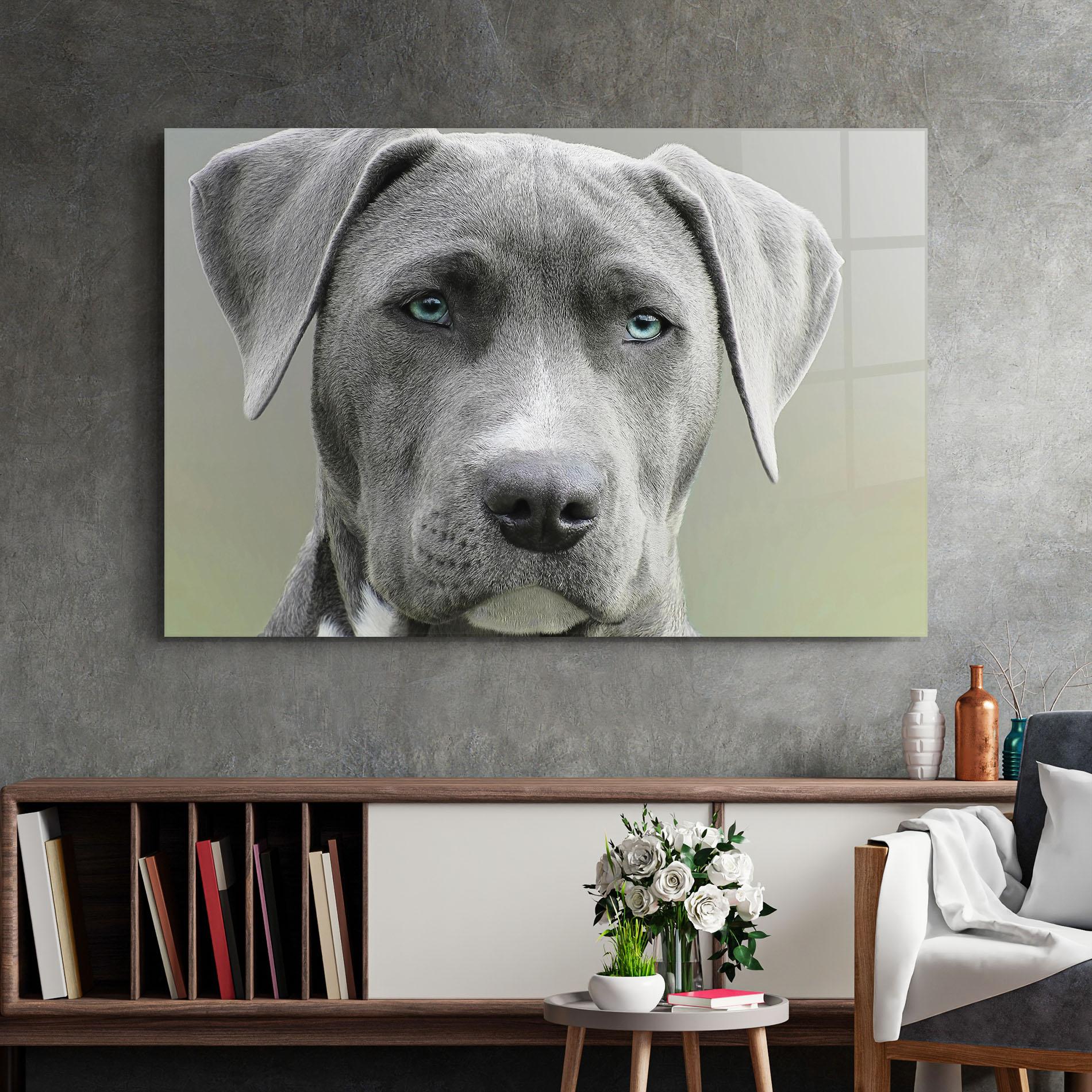 Glasbild Blue Eyes Dog mockup 2
