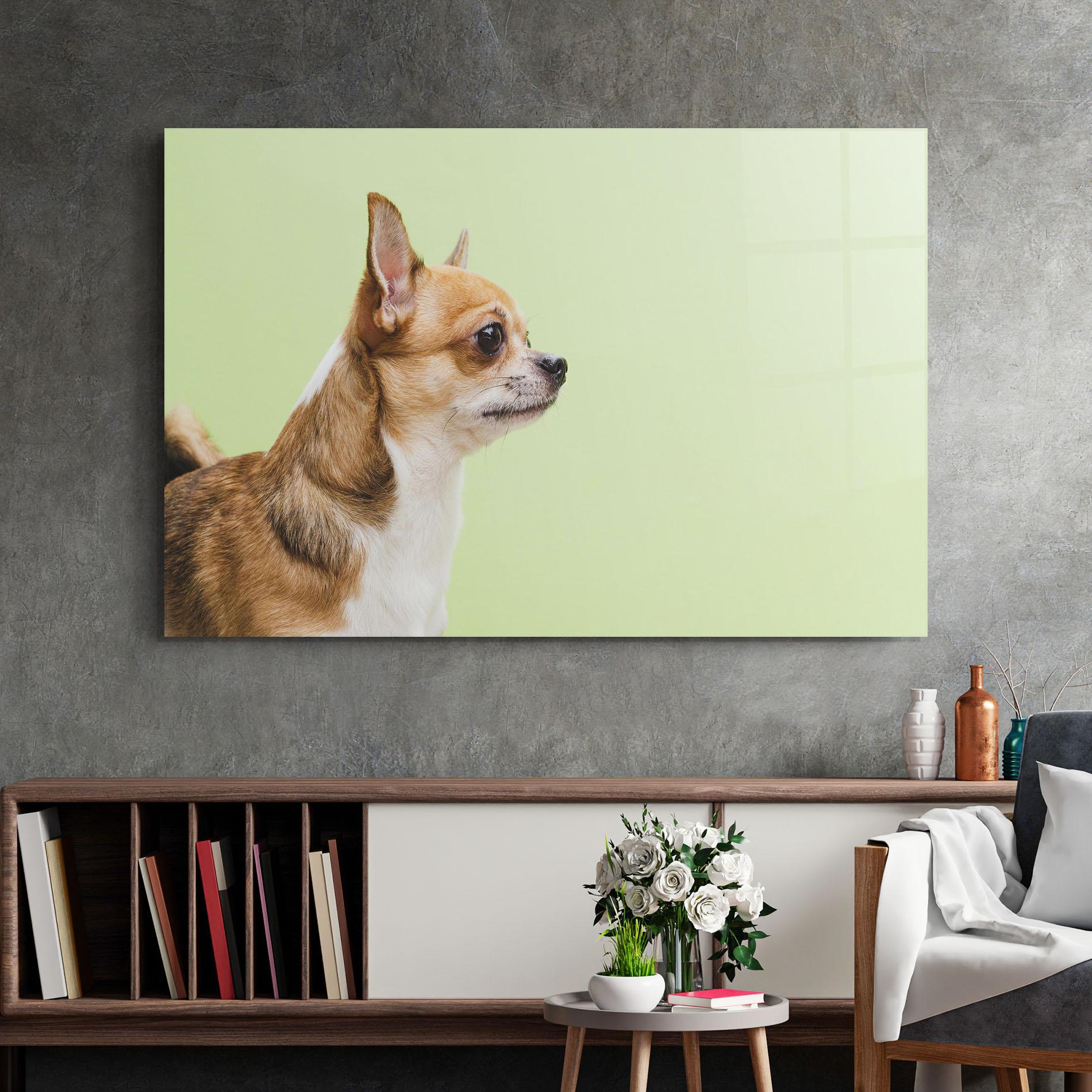 Glasbild Chihuahua Dog mockup 2