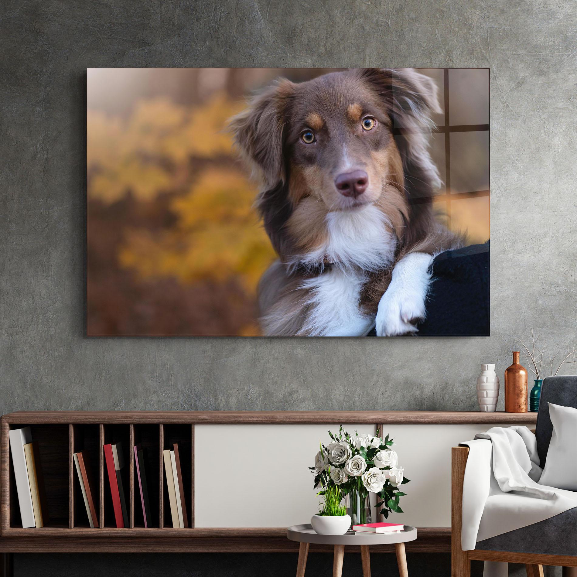 Glasbild Coffee Brown Dog mockup 2
