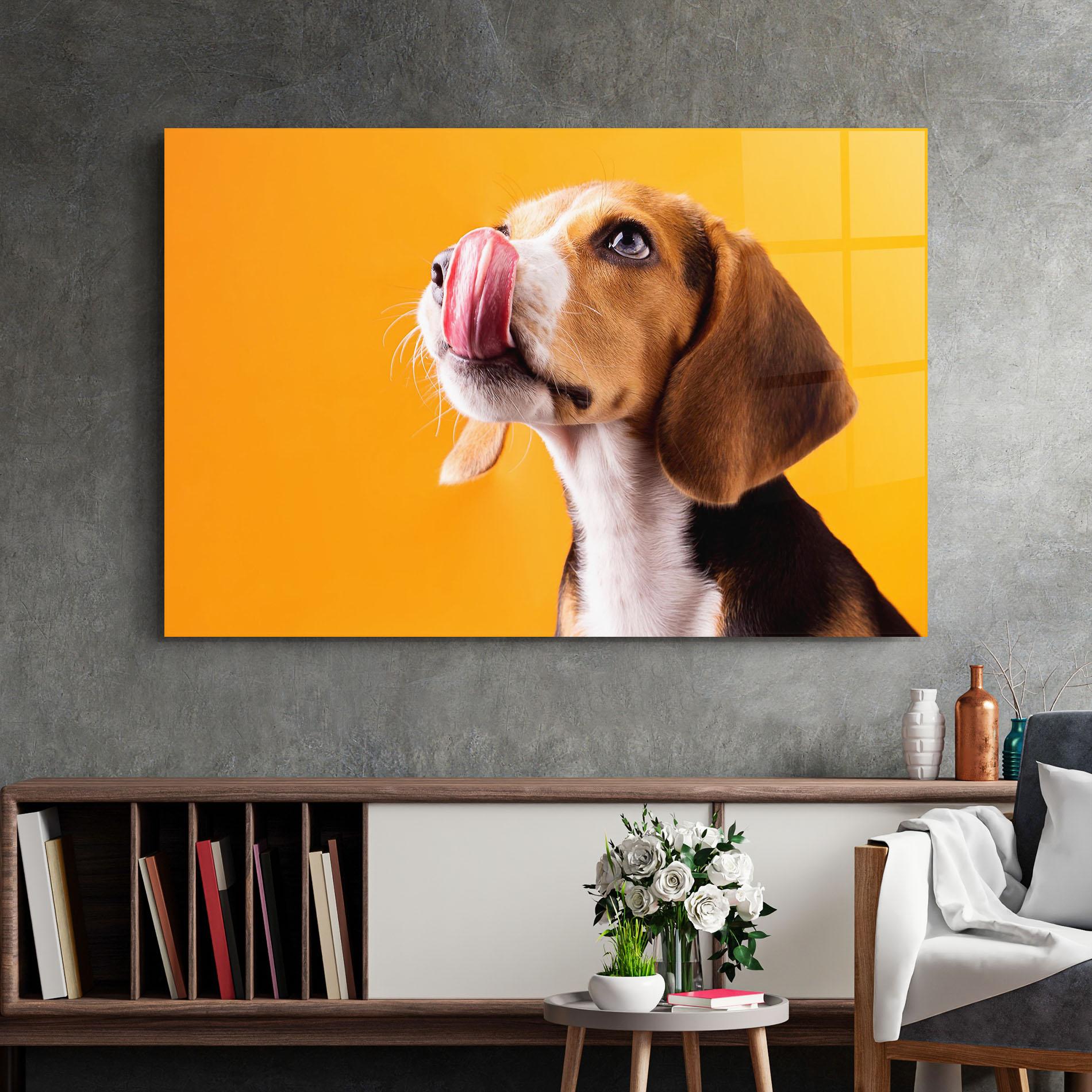 Glasbild Cute Beagle Puppy mockup 2