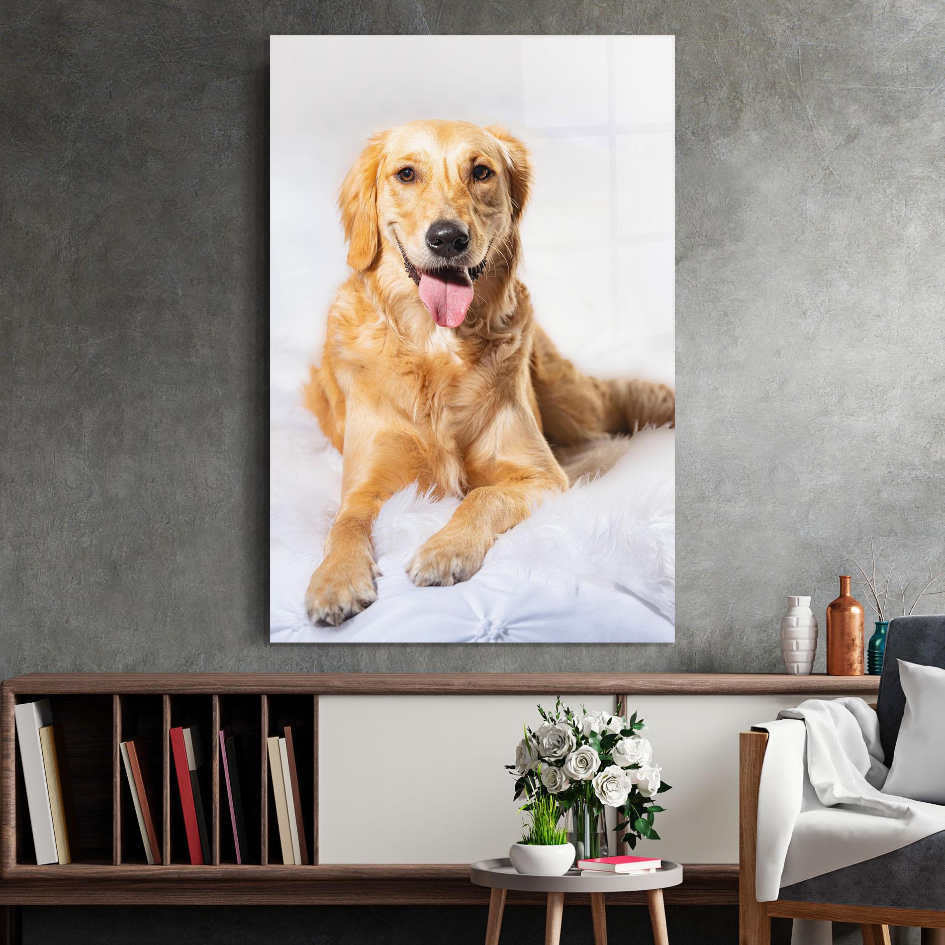 Glasbild Beautiful Gold Dog mockup 2