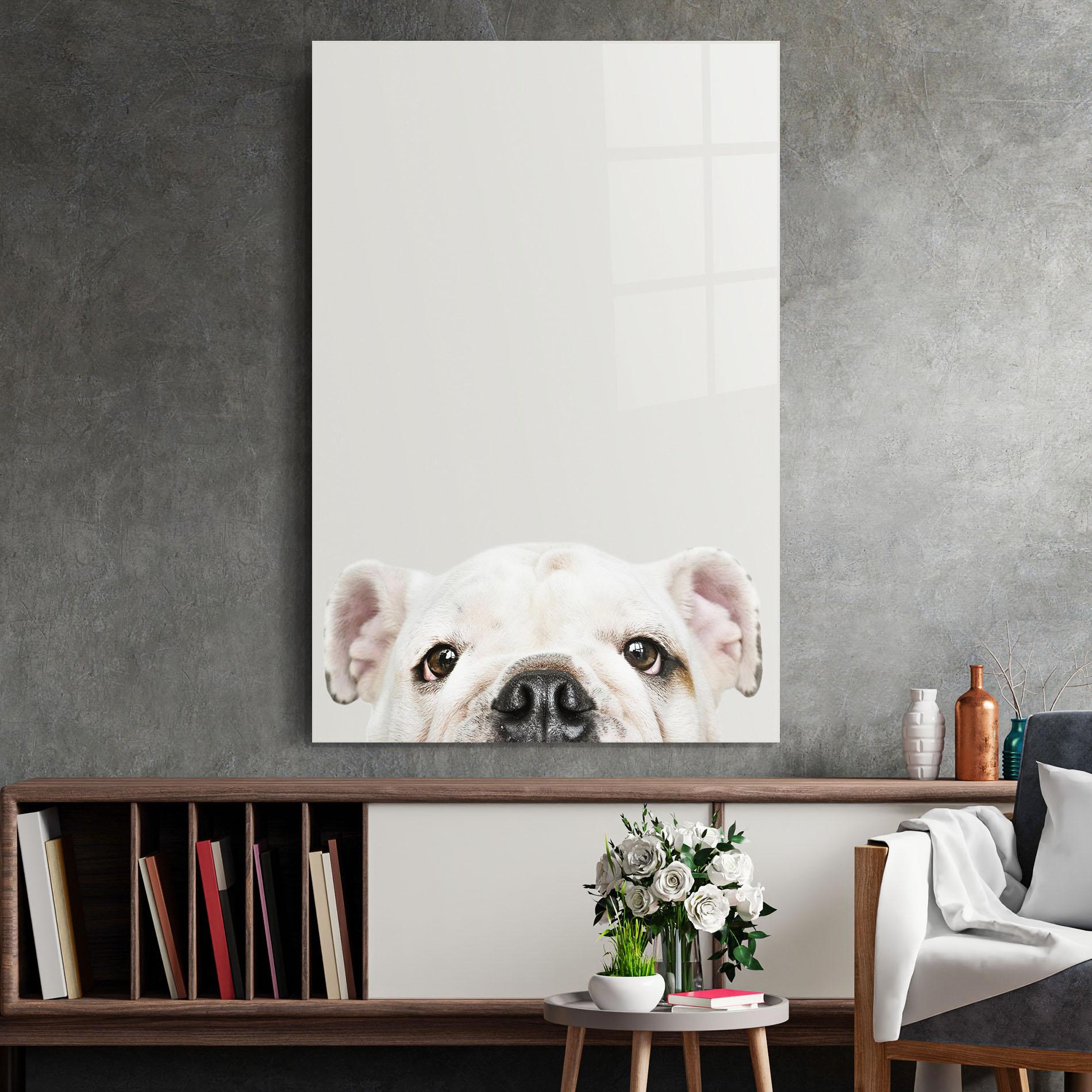 Glasbild Bulldog Eyes mockup 2
