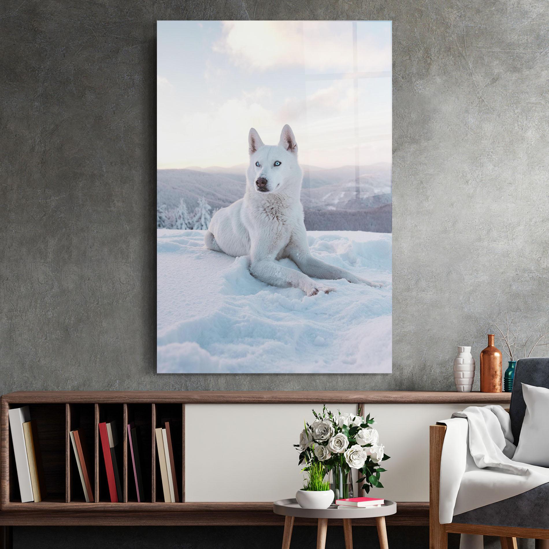 Glasbild White Husky mockup 2