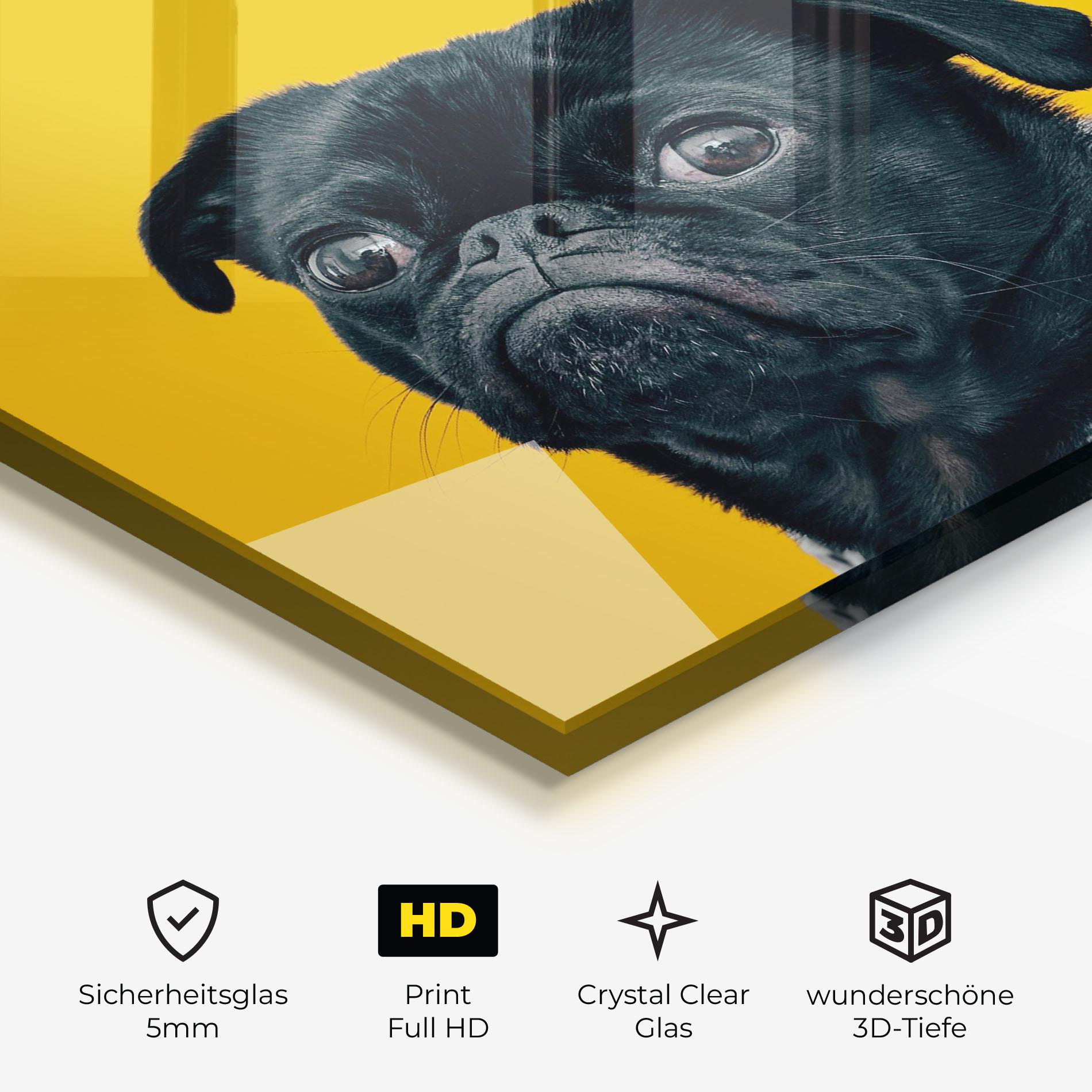 Glasbild Black Pug mockup 3