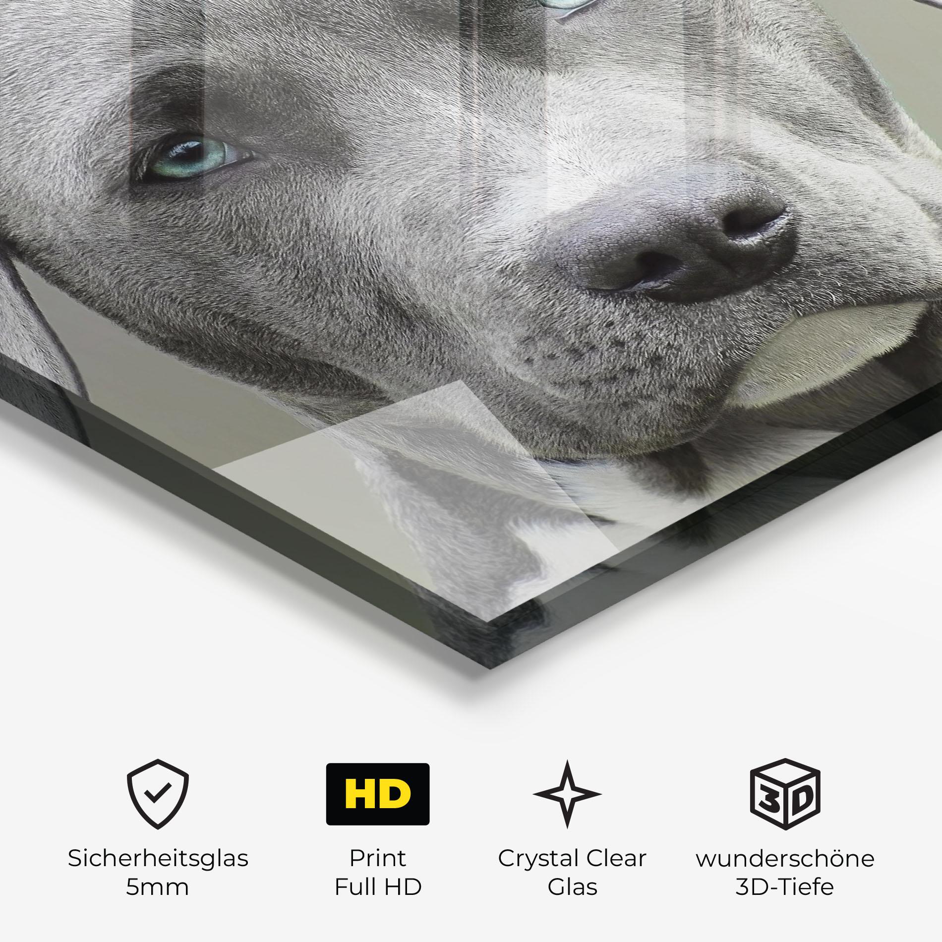 Glasbild Blue Eyes Dog mockup 3