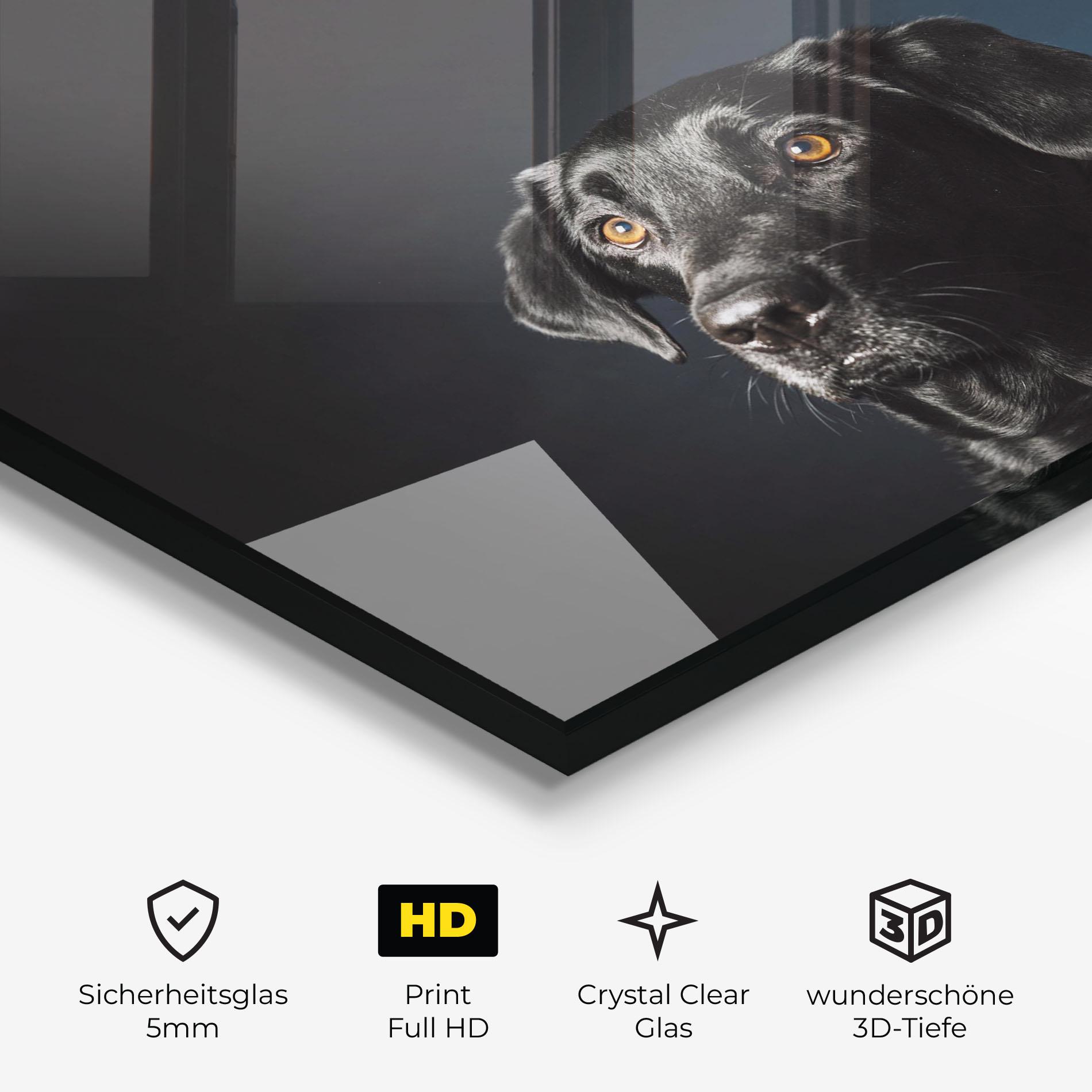 Glasbild Brown Eyes Dog mockup 3