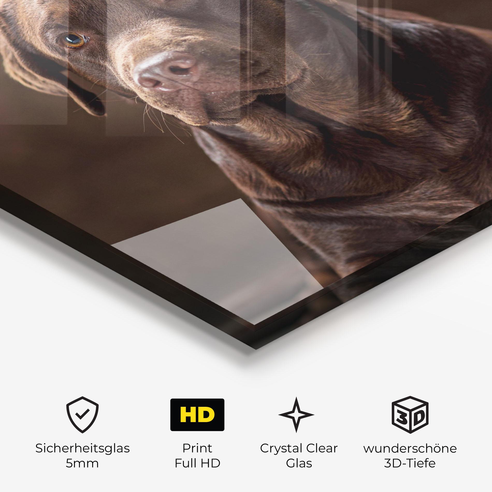 Glasbild Brown Labrador Dog mockup 3