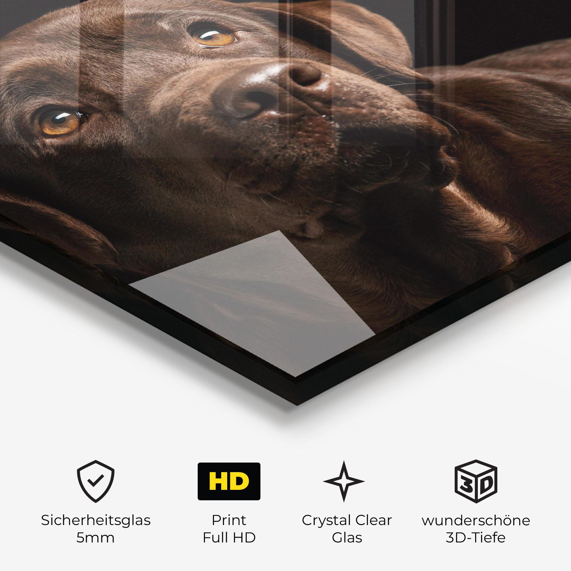 Glasbild Brown Labrador mockup 3