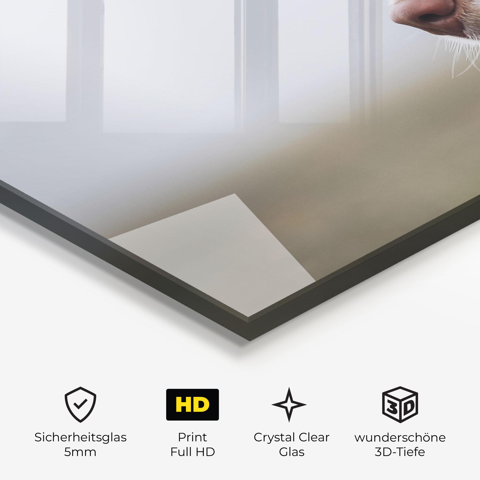 Glasbild Brown White Dog mockup 3