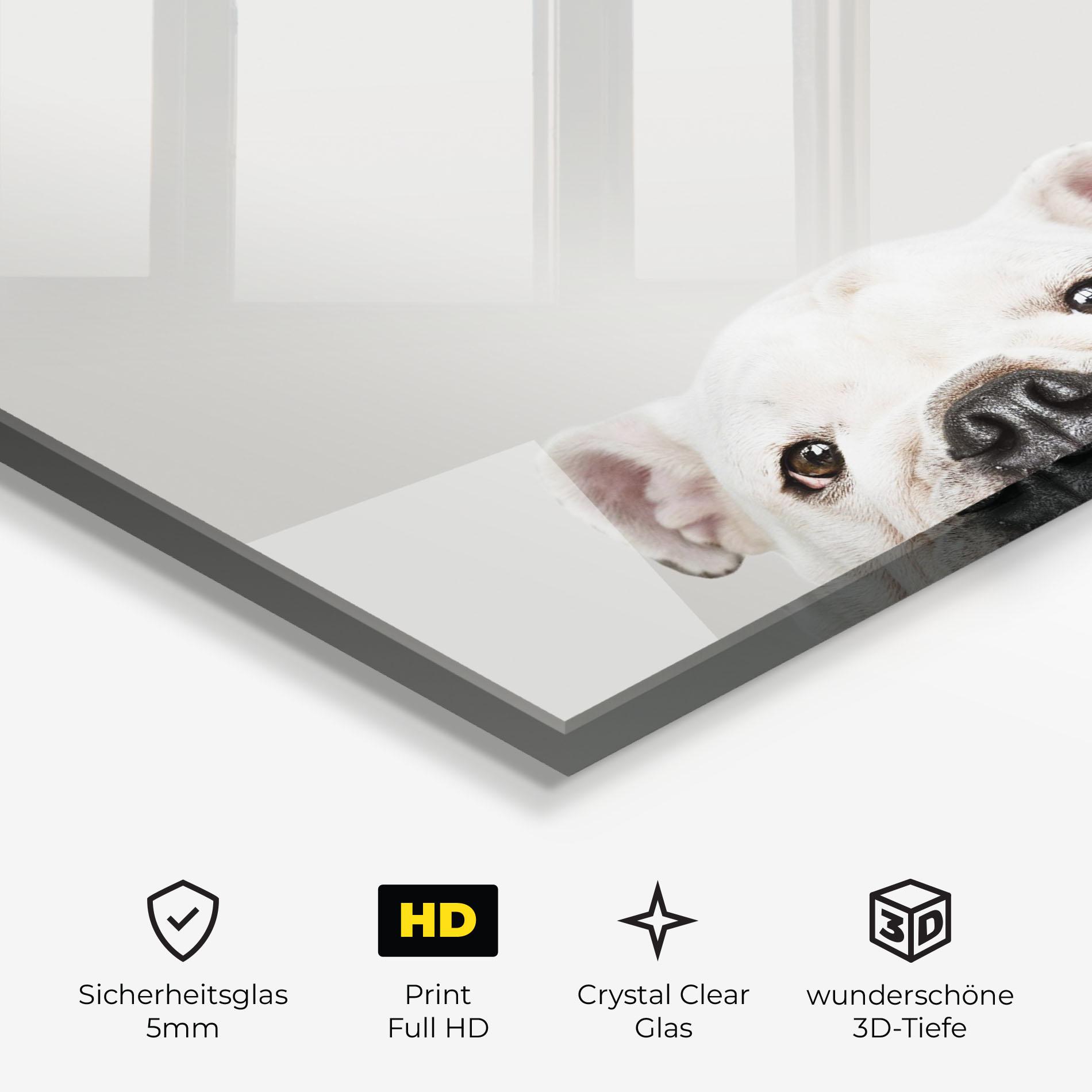 Glasbild Bulldog Eyes mockup 3